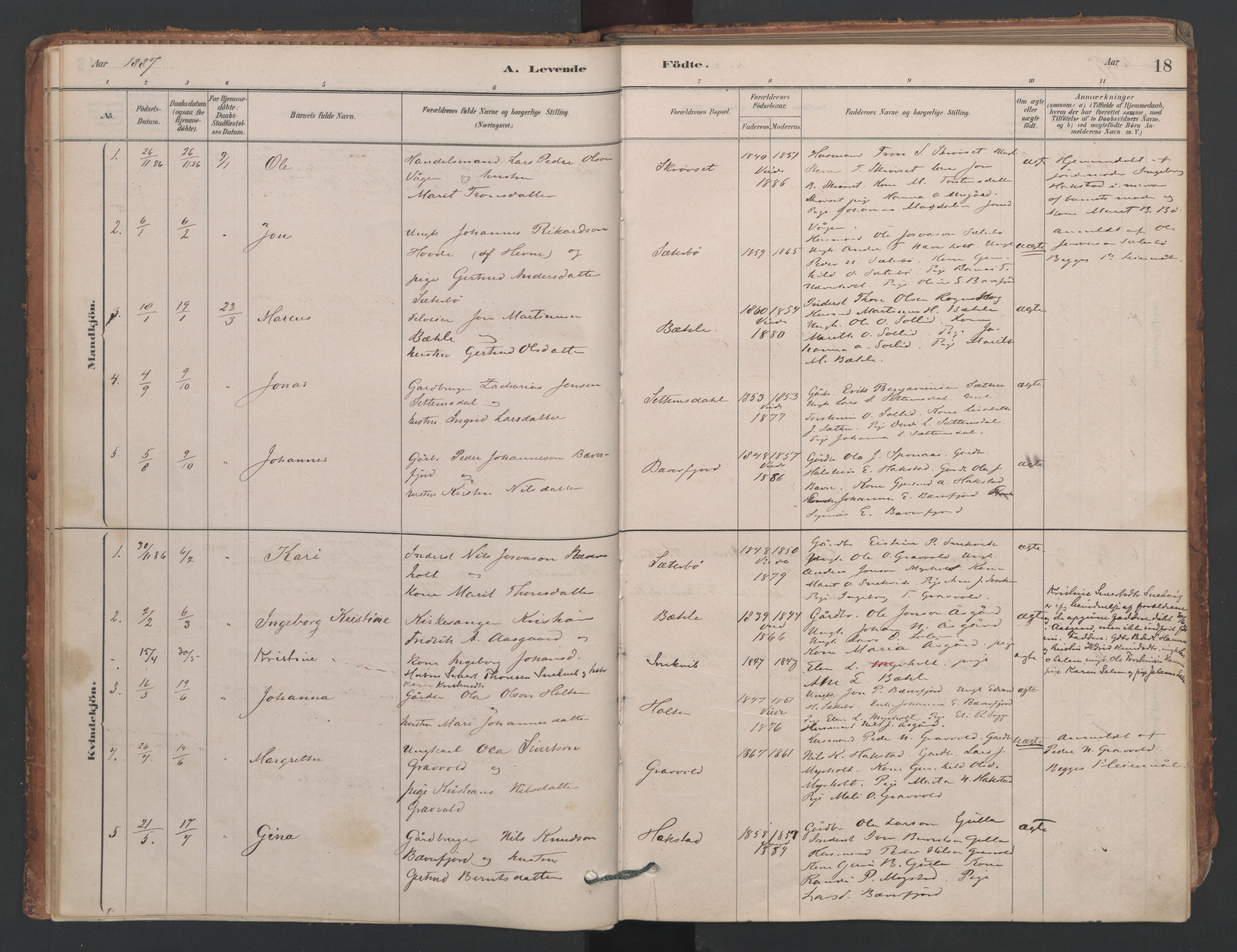 Ministerialprotokoller, klokkerbøker og fødselsregistre - Møre og Romsdal, SAT/A-1454/594/L1036: Ministerialbok nr. 594A02 (?), 1879-1910, s. 18