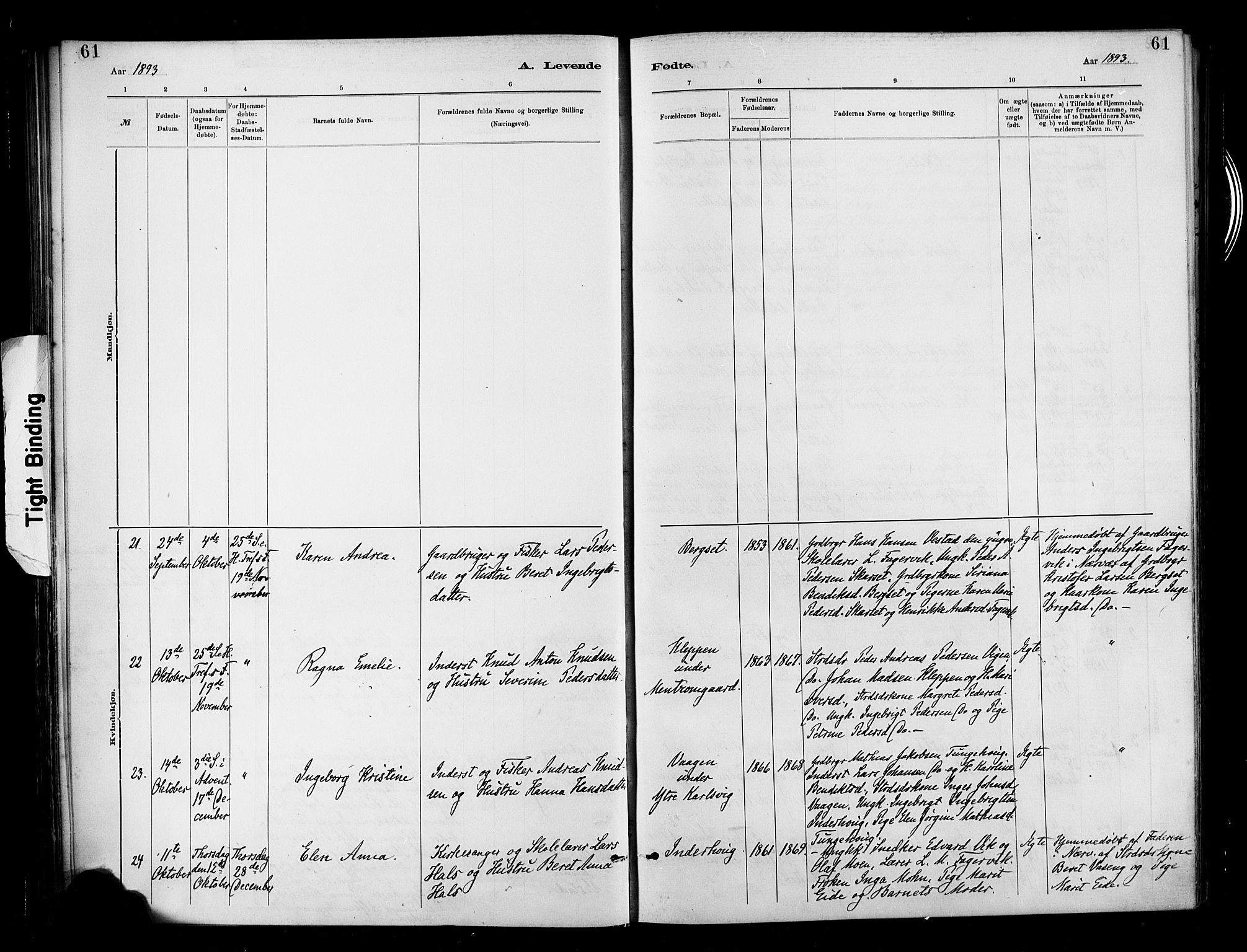 Ministerialprotokoller, klokkerbøker og fødselsregistre - Møre og Romsdal, AV/SAT-A-1454/566/L0769: Ministerialbok nr. 566A08, 1881-1903, s. 61