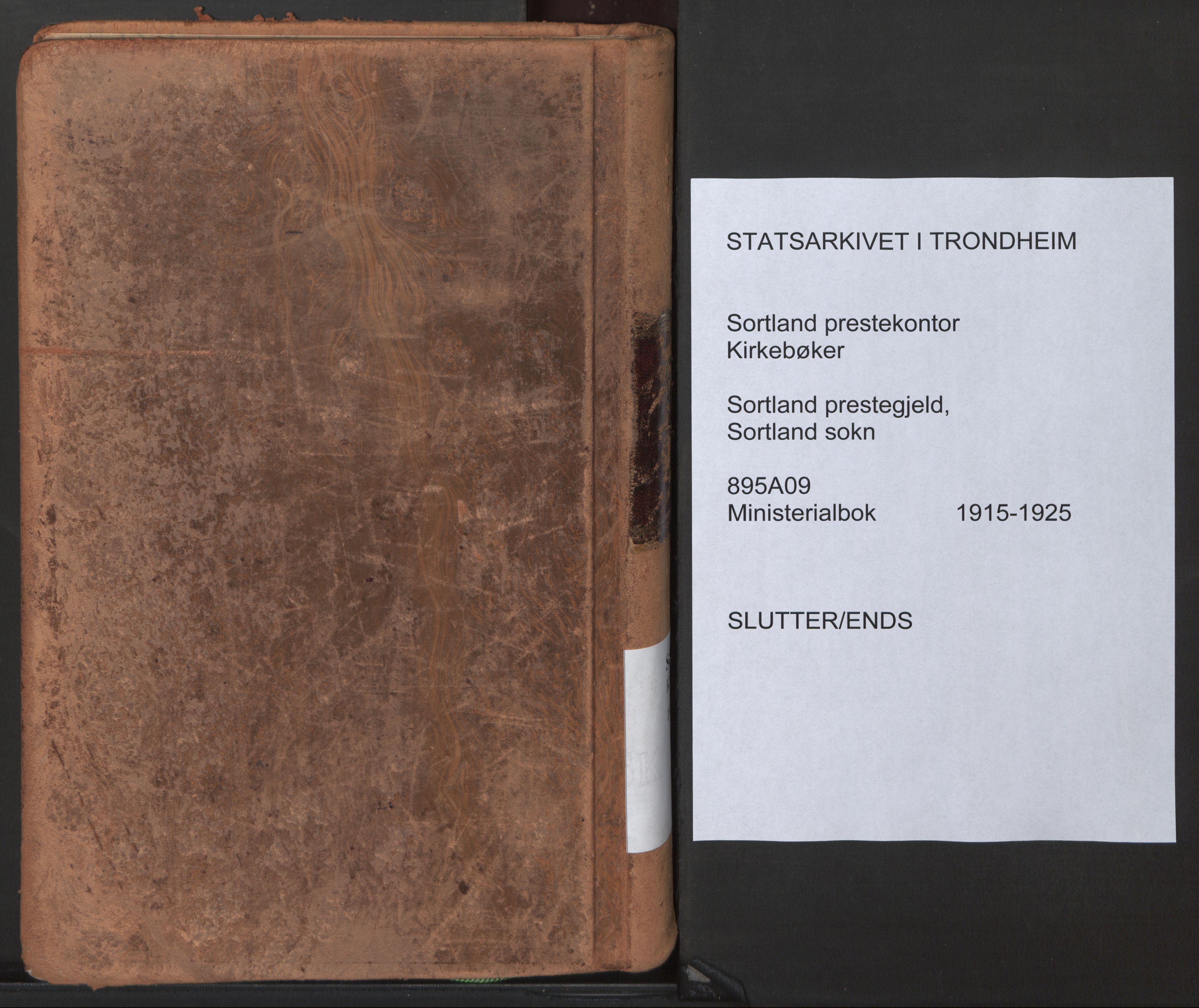 Ministerialprotokoller, klokkerbøker og fødselsregistre - Nordland, SAT/A-1459/895/L1374: Ministerialbok nr. 895A09, 1915-1925