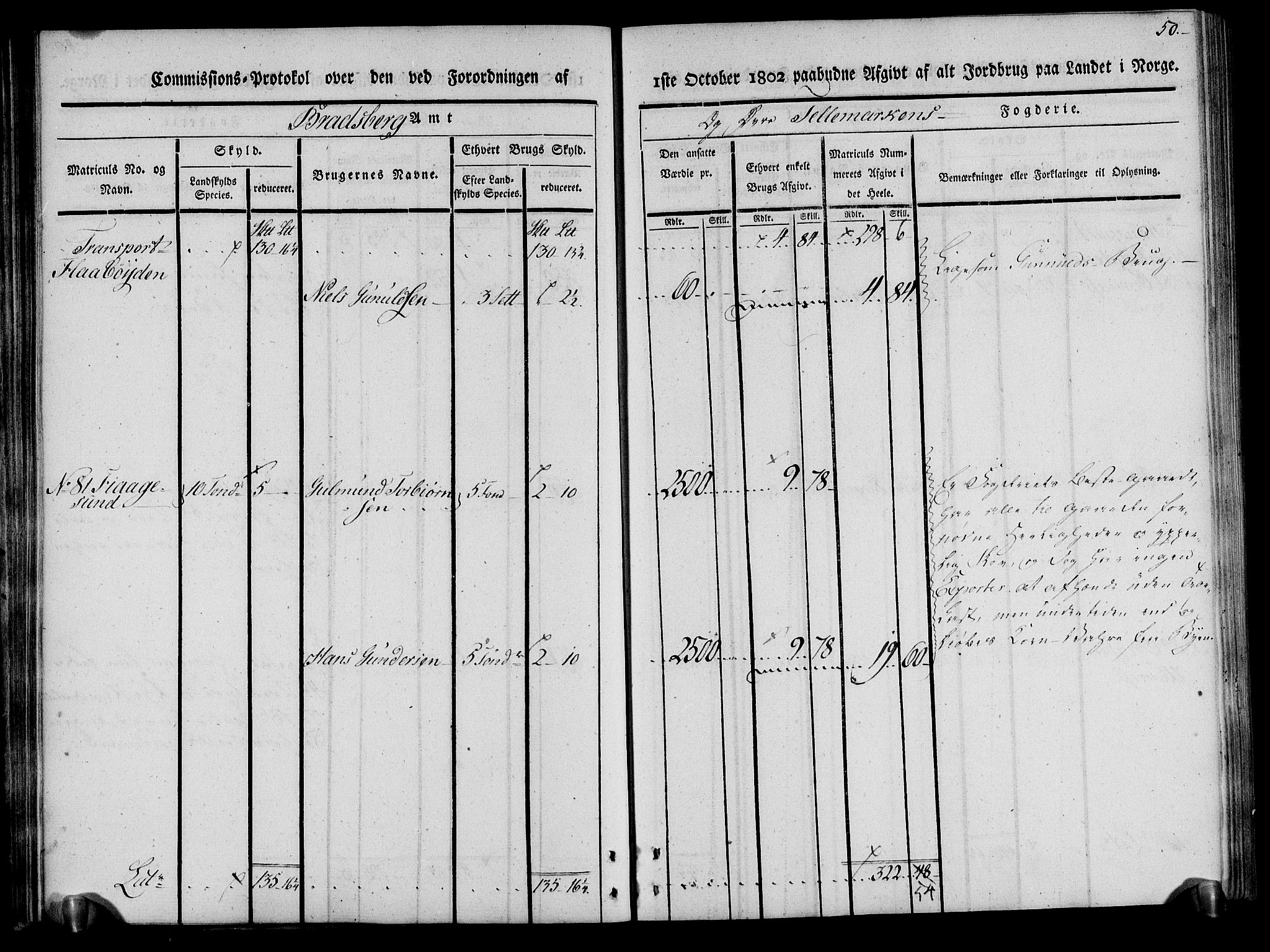 Rentekammeret inntil 1814, Realistisk ordnet avdeling, AV/RA-EA-4070/N/Ne/Nea/L0075: Øvre Telemarken fogderi. Kommisjonsprotokoll for fogderiets vestre del - Kviteseid, Vinje, Moland [):Fyresdal] og Lårdal prestegjeld., 1803, s. 50