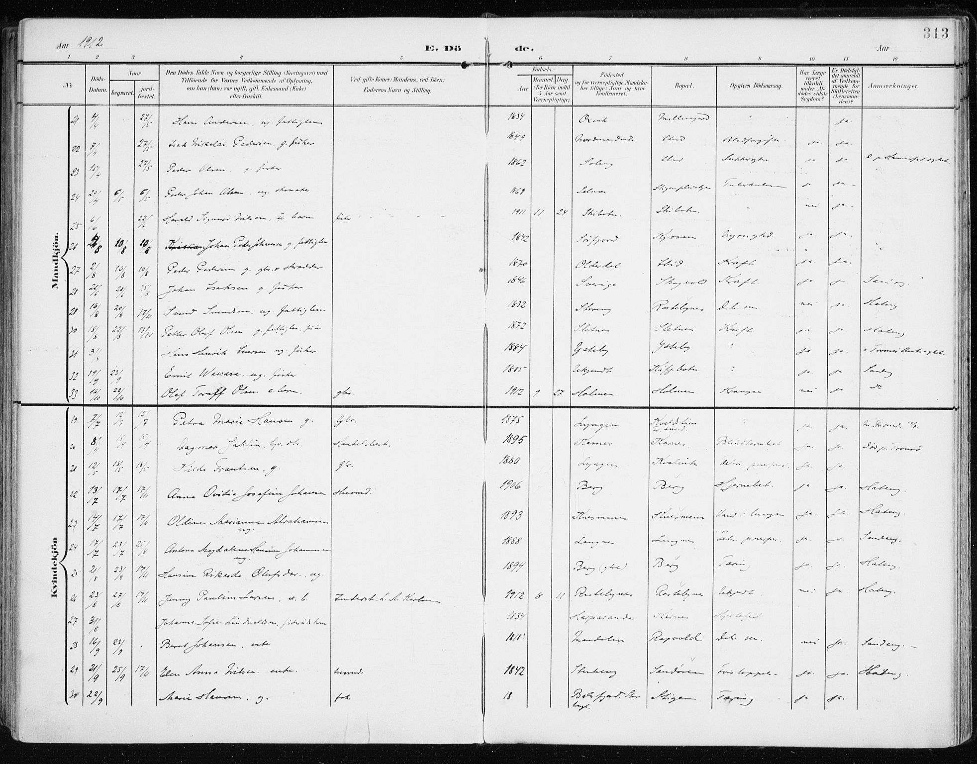 Lyngen sokneprestembete, AV/SATØ-S-1289/H/He/Hea/L0011kirke: Ministerialbok nr. 11, 1903-1913, s. 313