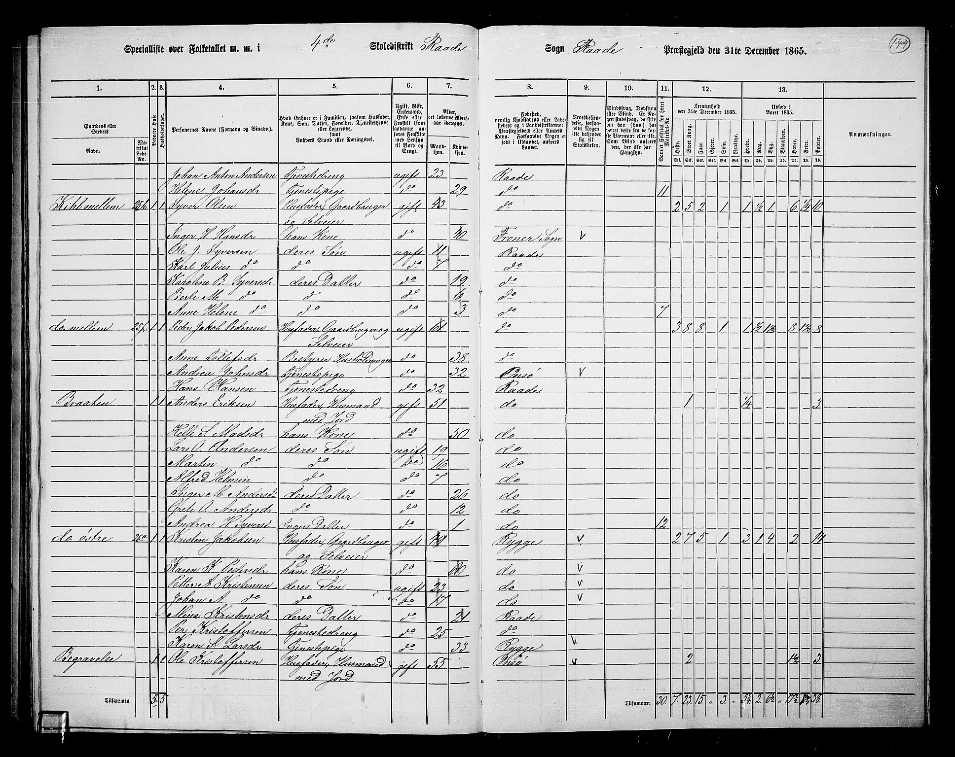 RA, Folketelling 1865 for 0135P Råde prestegjeld, 1865, s. 132