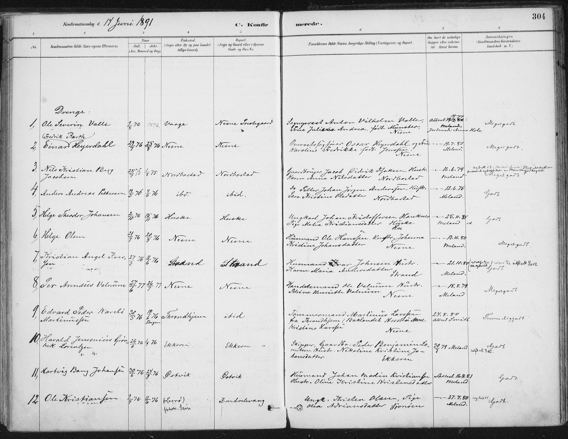 Ministerialprotokoller, klokkerbøker og fødselsregistre - Nordland, SAT/A-1459/838/L0552: Ministerialbok nr. 838A10, 1880-1910, s. 304