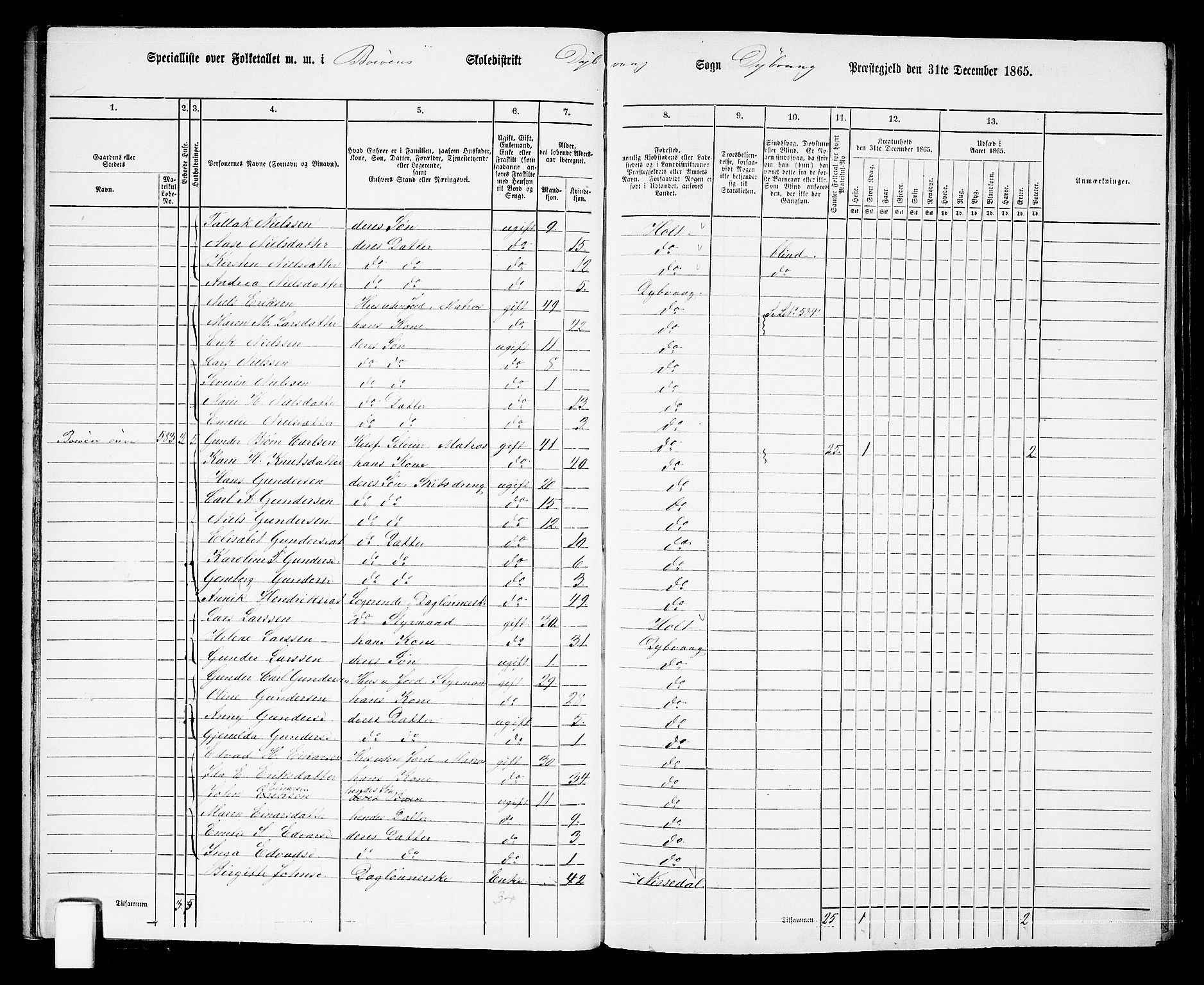 RA, Folketelling 1865 for 0915P Dypvåg prestegjeld, 1865, s. 27