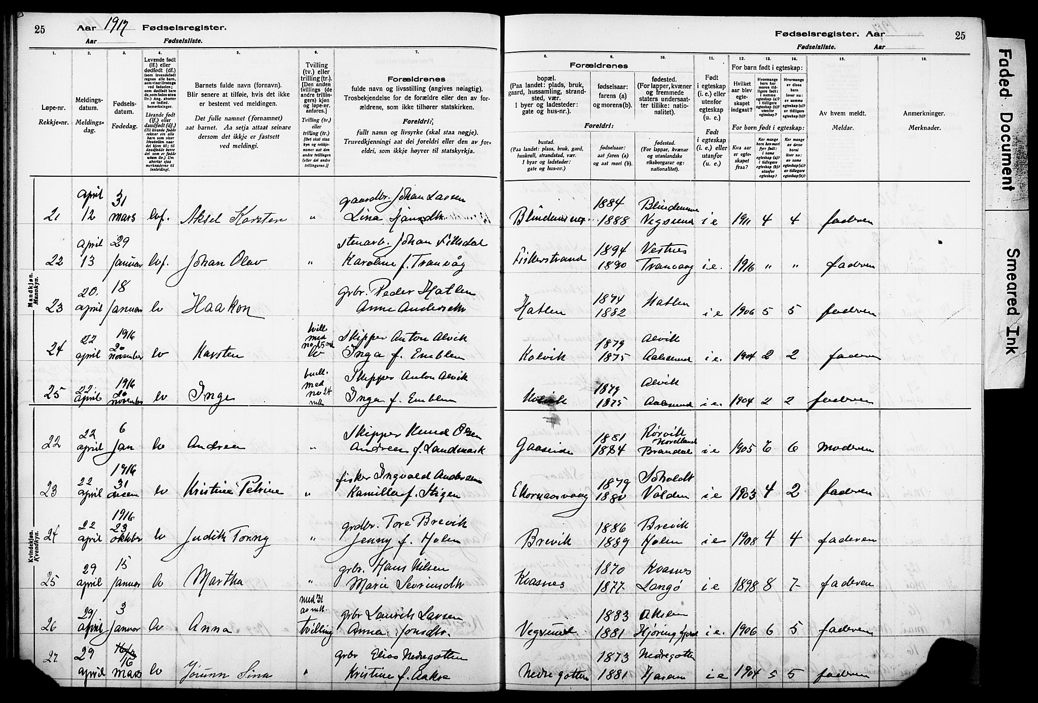 Ministerialprotokoller, klokkerbøker og fødselsregistre - Møre og Romsdal, SAT/A-1454/528/L0442: Fødselsregister nr. 528.II.4.1, 1916-1924, s. 25