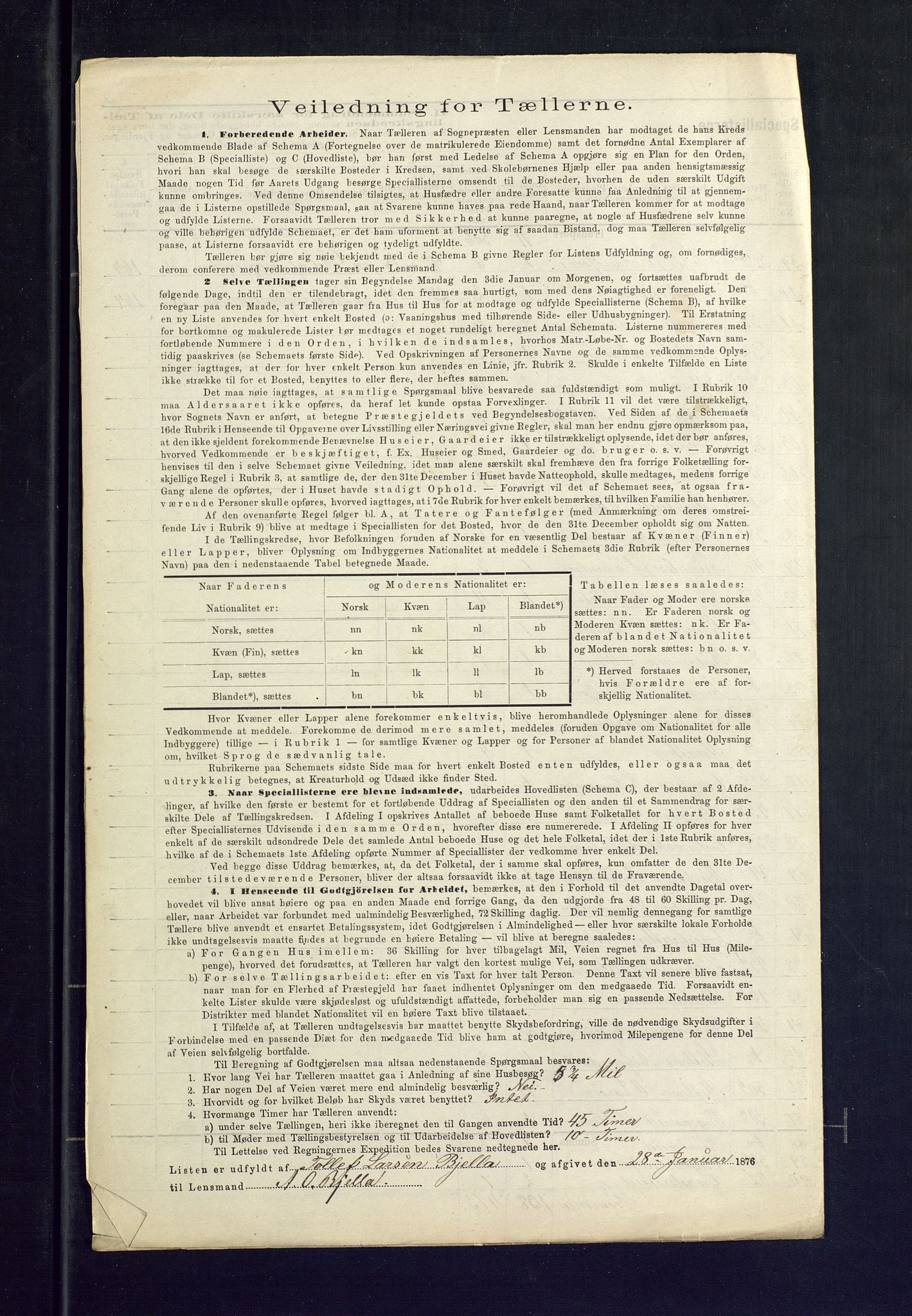 SAKO, Folketelling 1875 for 0619P Ål prestegjeld, 1875, s. 4