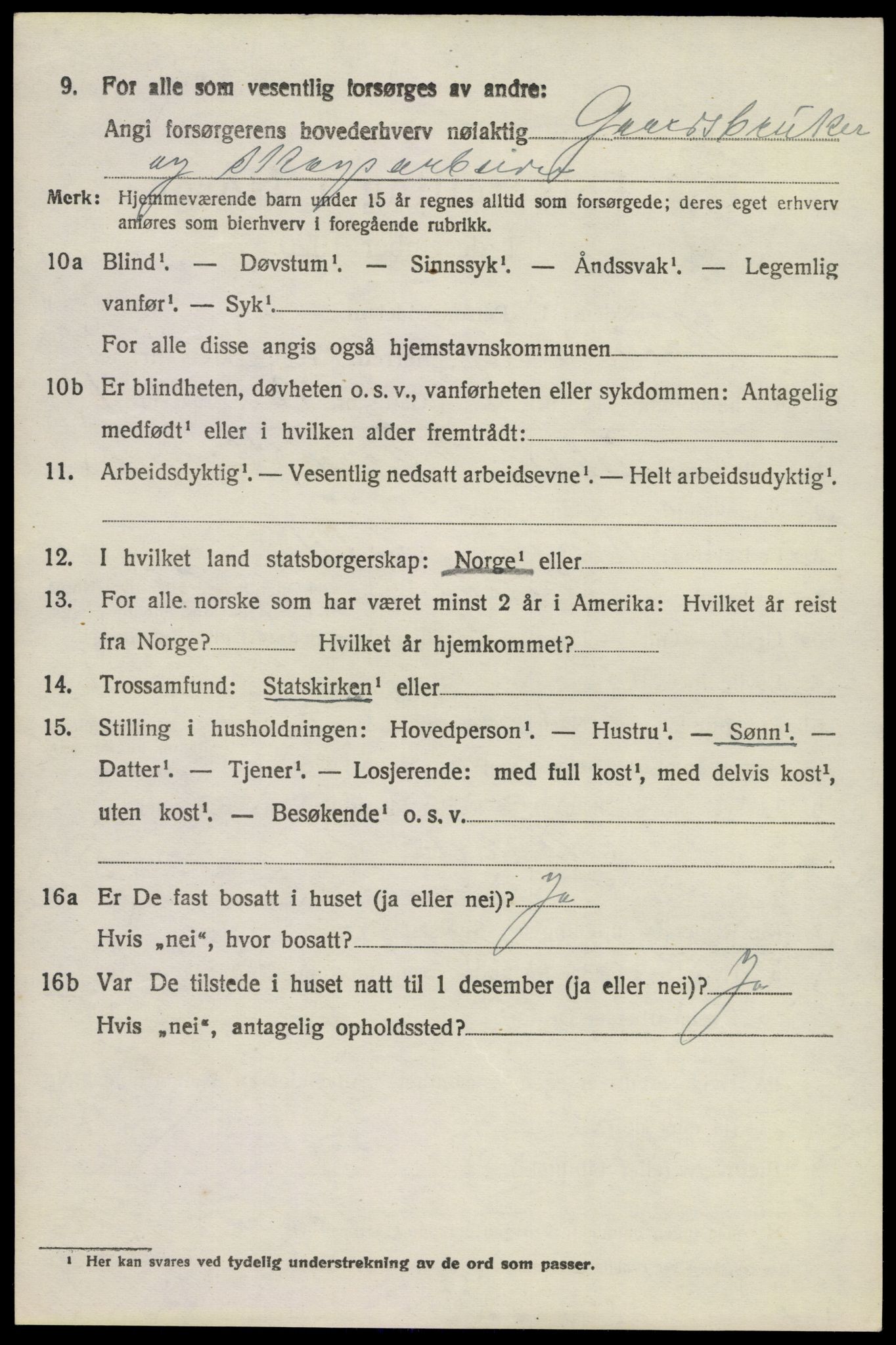 SAKO, Folketelling 1920 for 0726 Brunlanes herred, 1920, s. 6590
