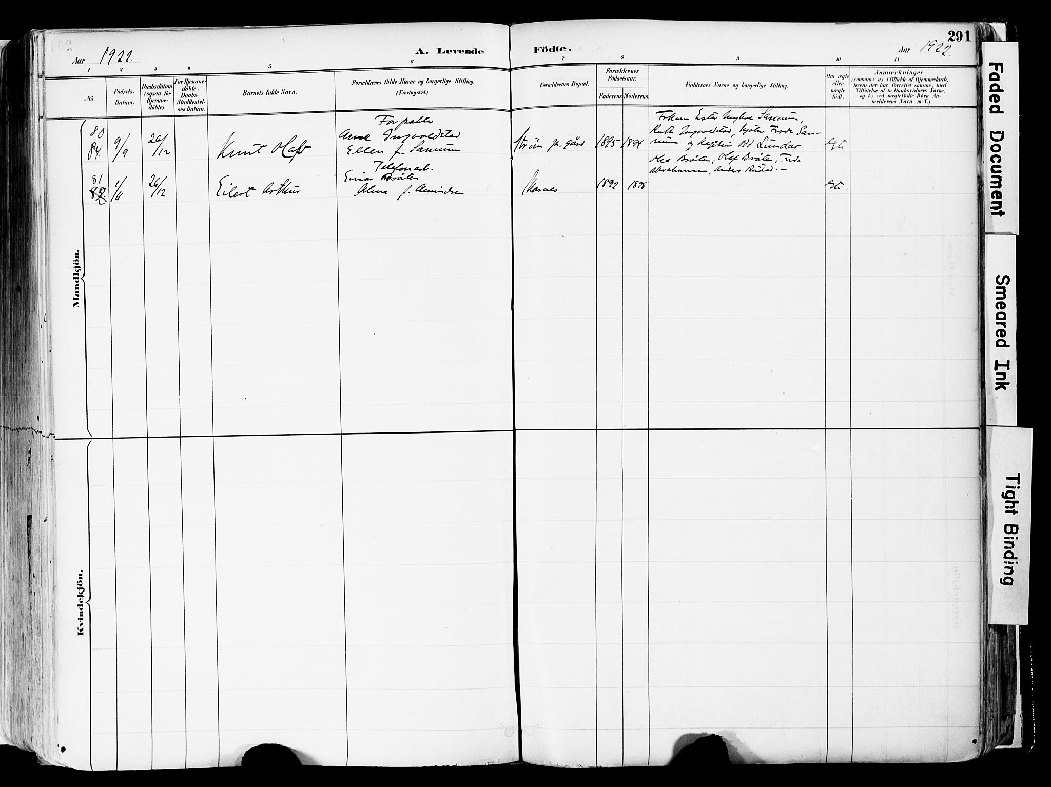 Sør-Odal prestekontor, AV/SAH-PREST-030/H/Ha/Haa/L0006: Ministerialbok nr. 6, 1886-1931, s. 291