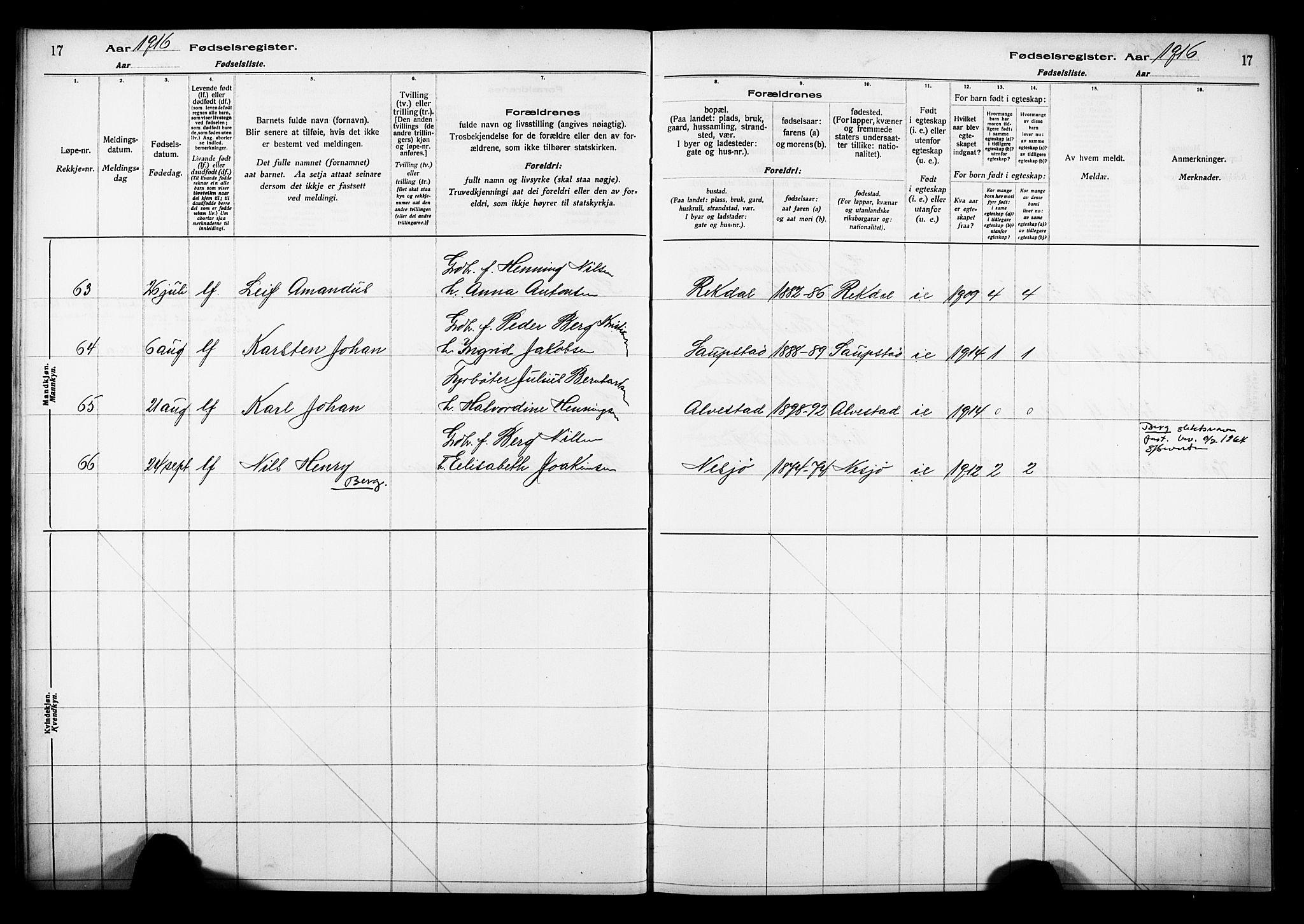 Ministerialprotokoller, klokkerbøker og fødselsregistre - Nordland, AV/SAT-A-1459/880/L1145: Fødselsregister nr. 880.II.4.1, 1916-1929, s. 17