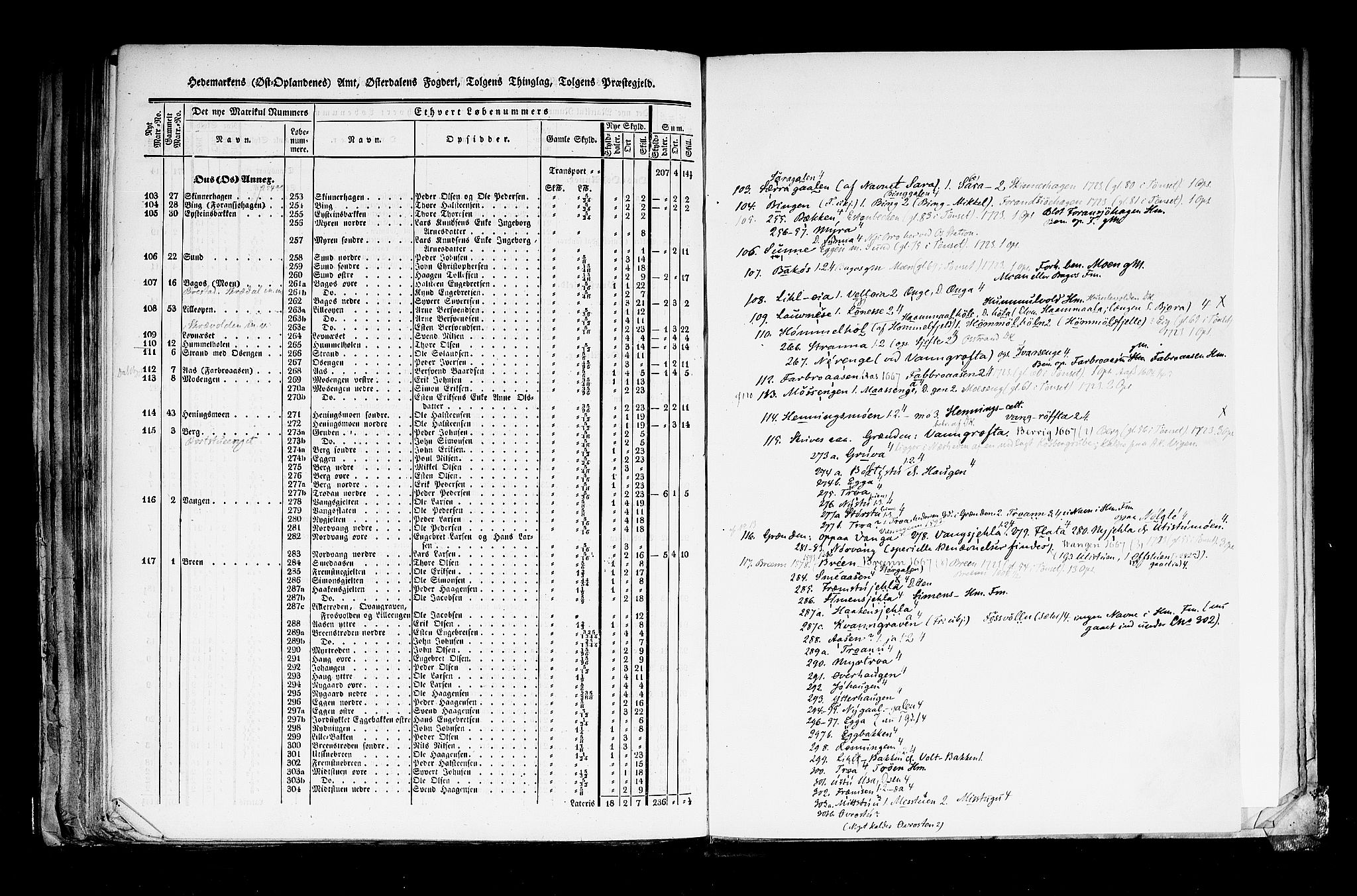 Rygh, AV/RA-PA-0034/F/Fb/L0003: Matrikkelen for 1838 - Hedemarken amt (Hedmark fylke), 1838