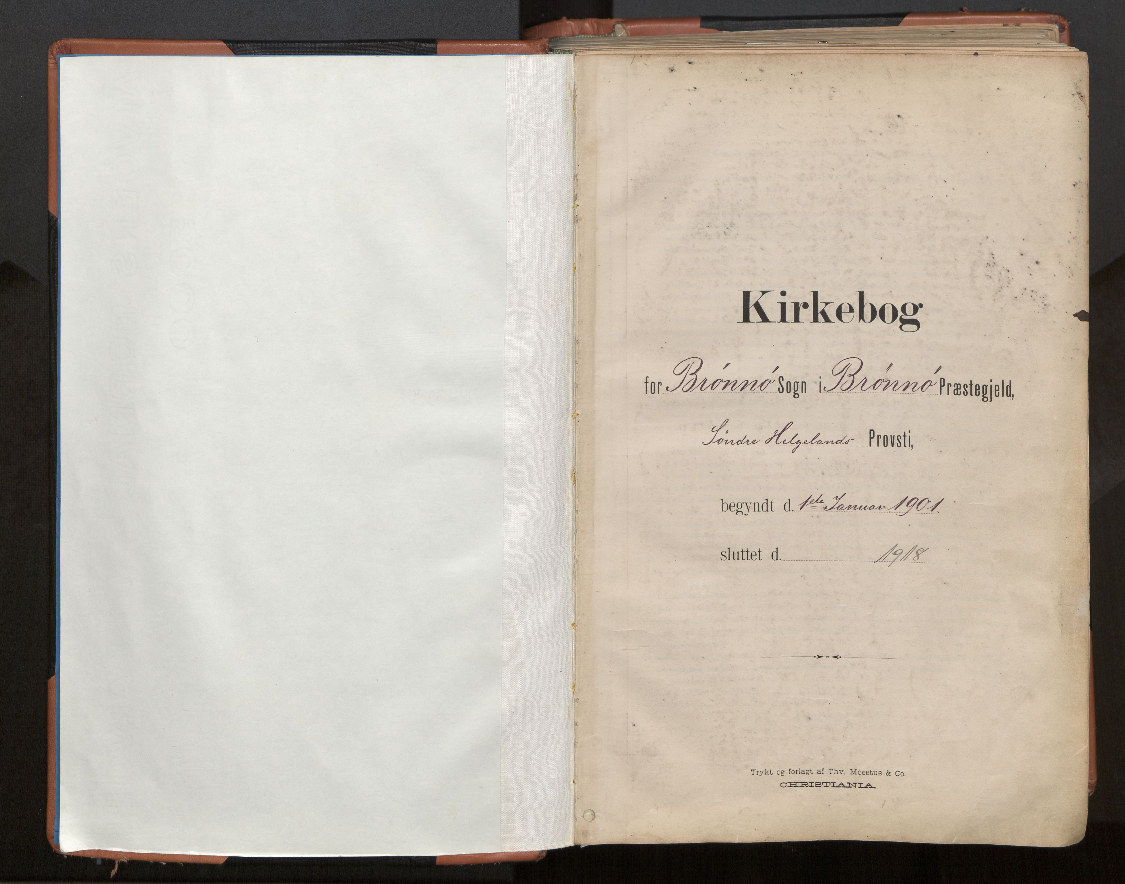 Ministerialprotokoller, klokkerbøker og fødselsregistre - Nordland, SAT/A-1459/813/L0201: Ministerialbok nr. 813A11, 1901-1918