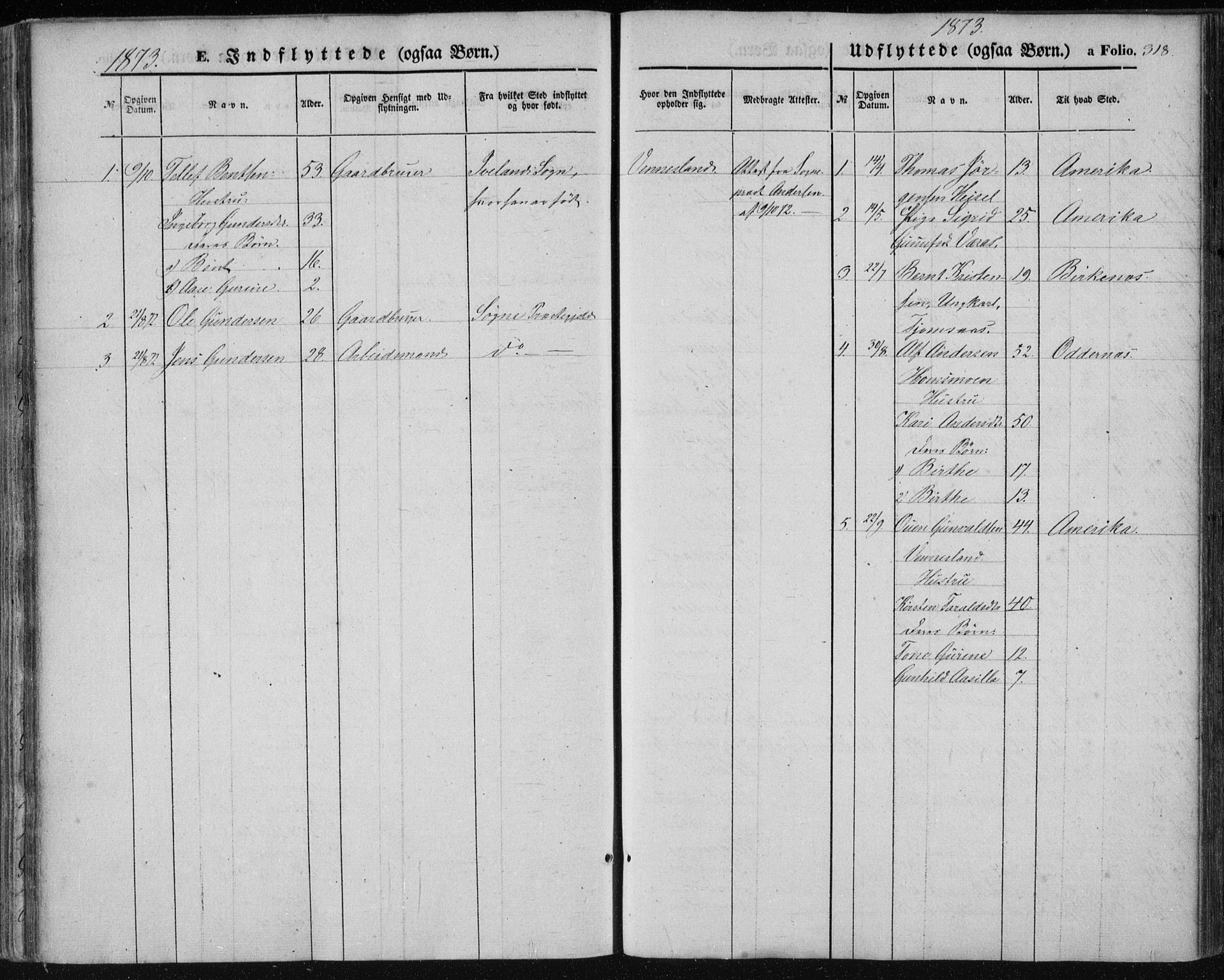Vennesla sokneprestkontor, SAK/1111-0045/Fa/Fac/L0007: Ministerialbok nr. A 7, 1855-1873, s. 318