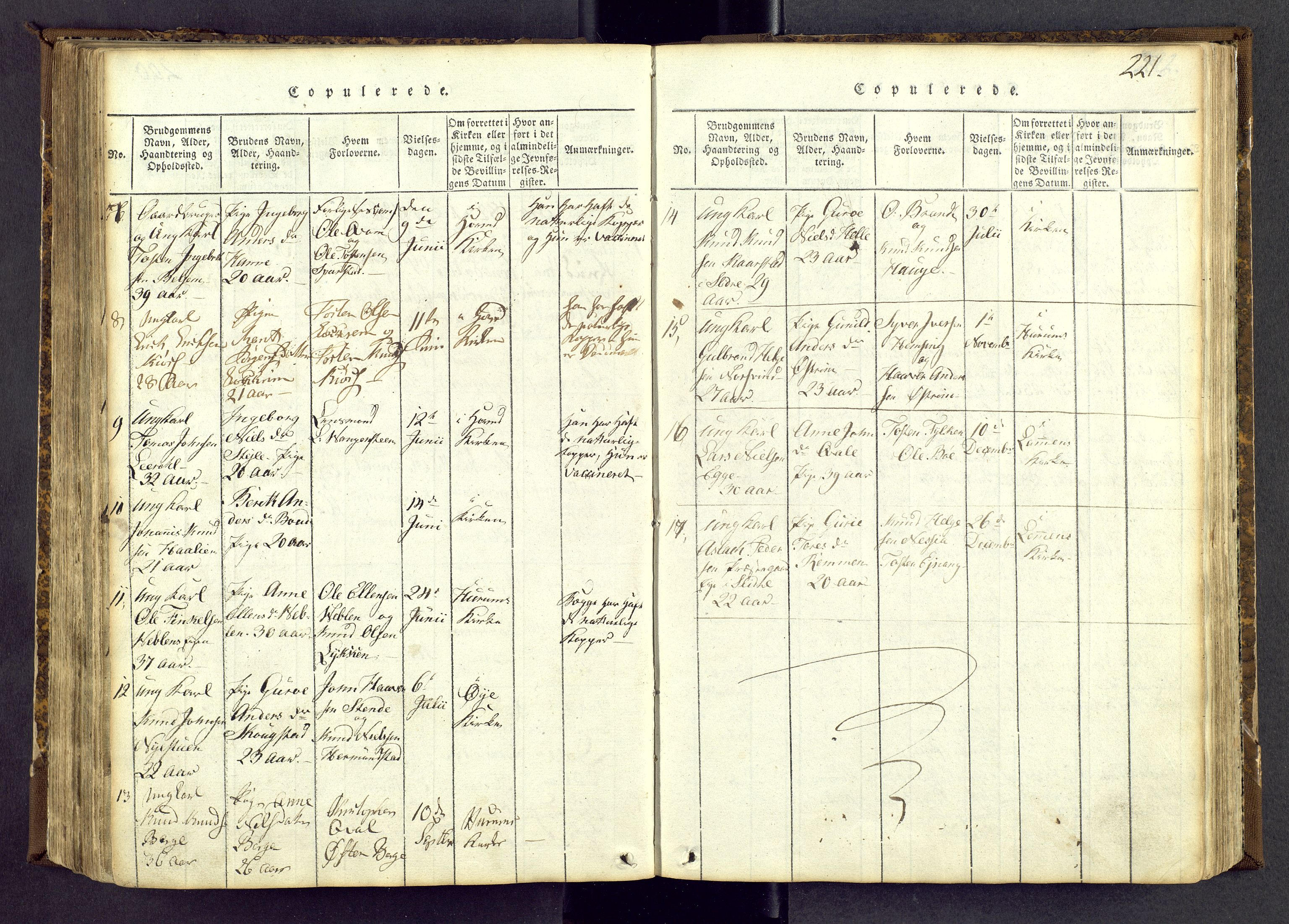 Vang prestekontor, Valdres, AV/SAH-PREST-140/H/Ha/L0004: Ministerialbok nr. 4, 1814-1831, s. 221