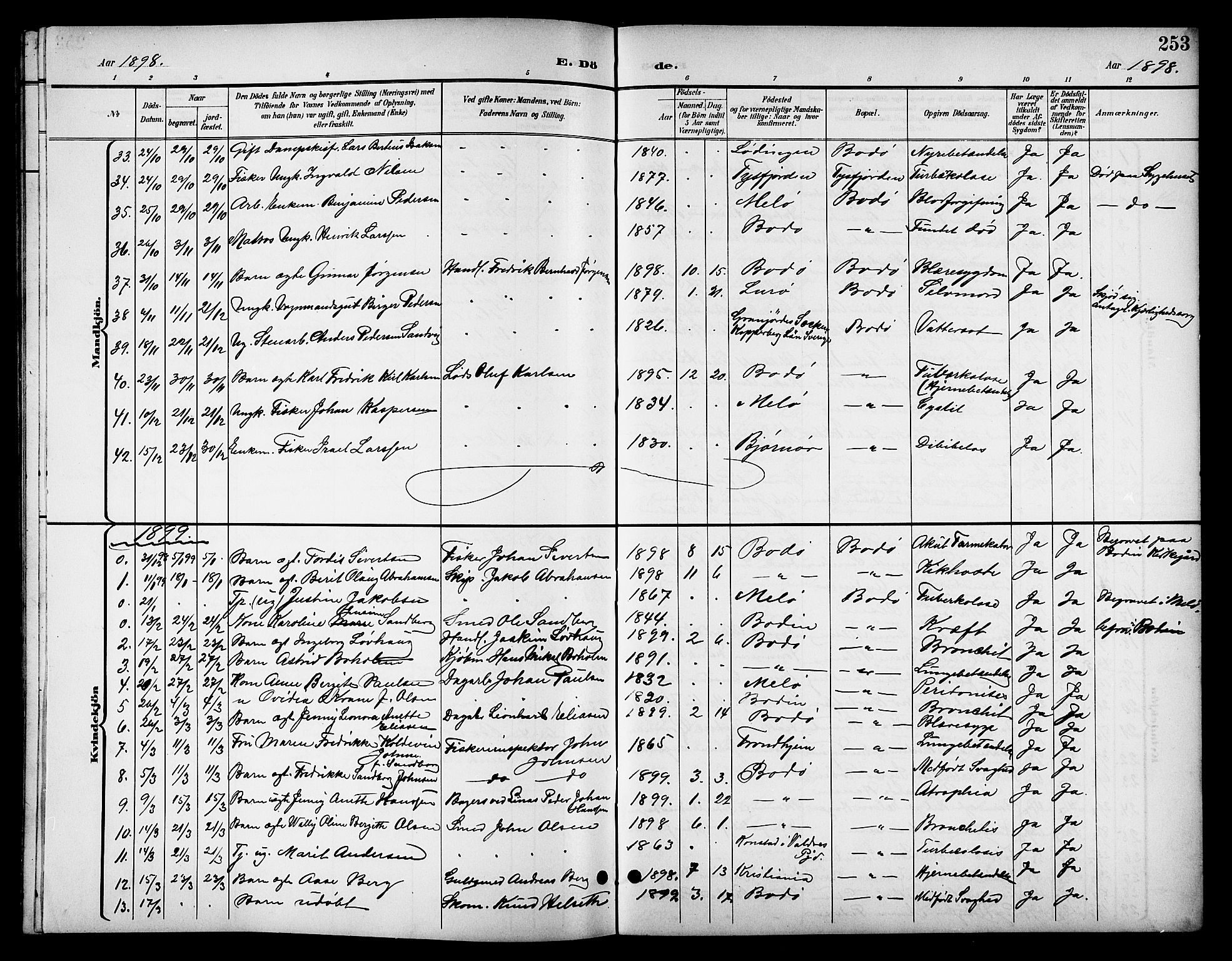 Ministerialprotokoller, klokkerbøker og fødselsregistre - Nordland, AV/SAT-A-1459/801/L0033: Klokkerbok nr. 801C08, 1898-1910, s. 253