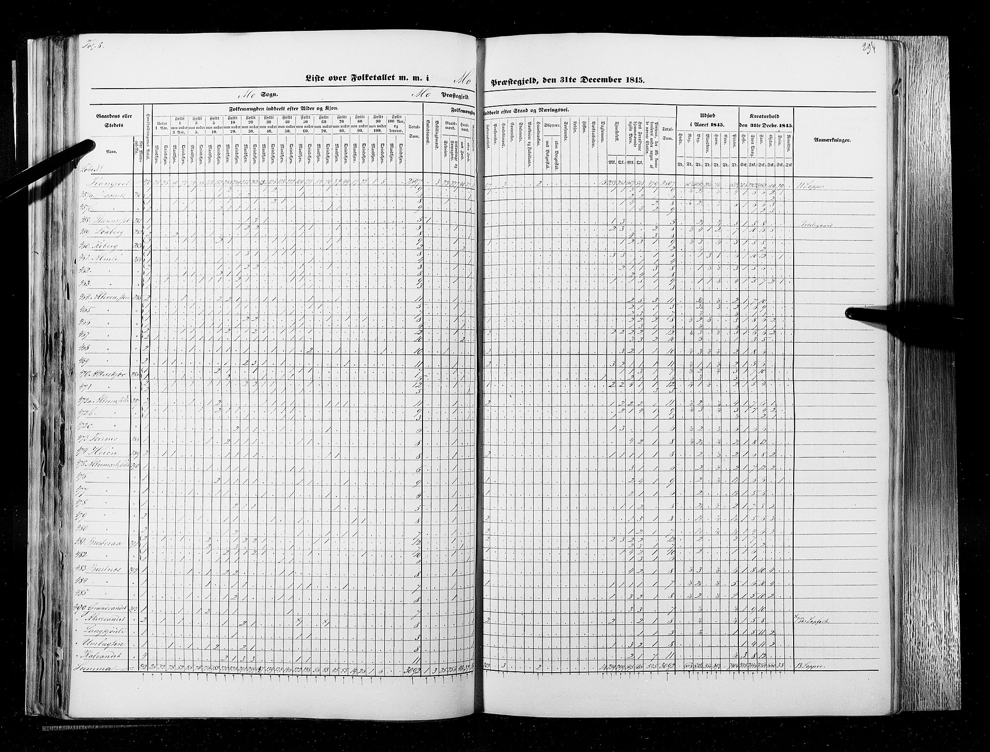 RA, Folketellingen 1845, bind 9B: Nordland amt, 1845, s. 294