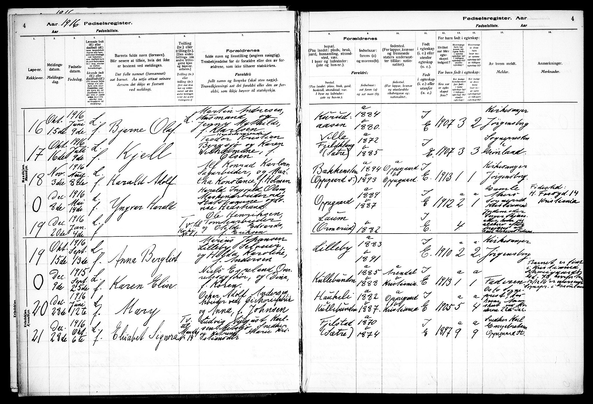 Nesodden prestekontor Kirkebøker, AV/SAO-A-10013/J/Jb/L0001: Fødselsregister nr. II 1, 1916-1933, s. 4