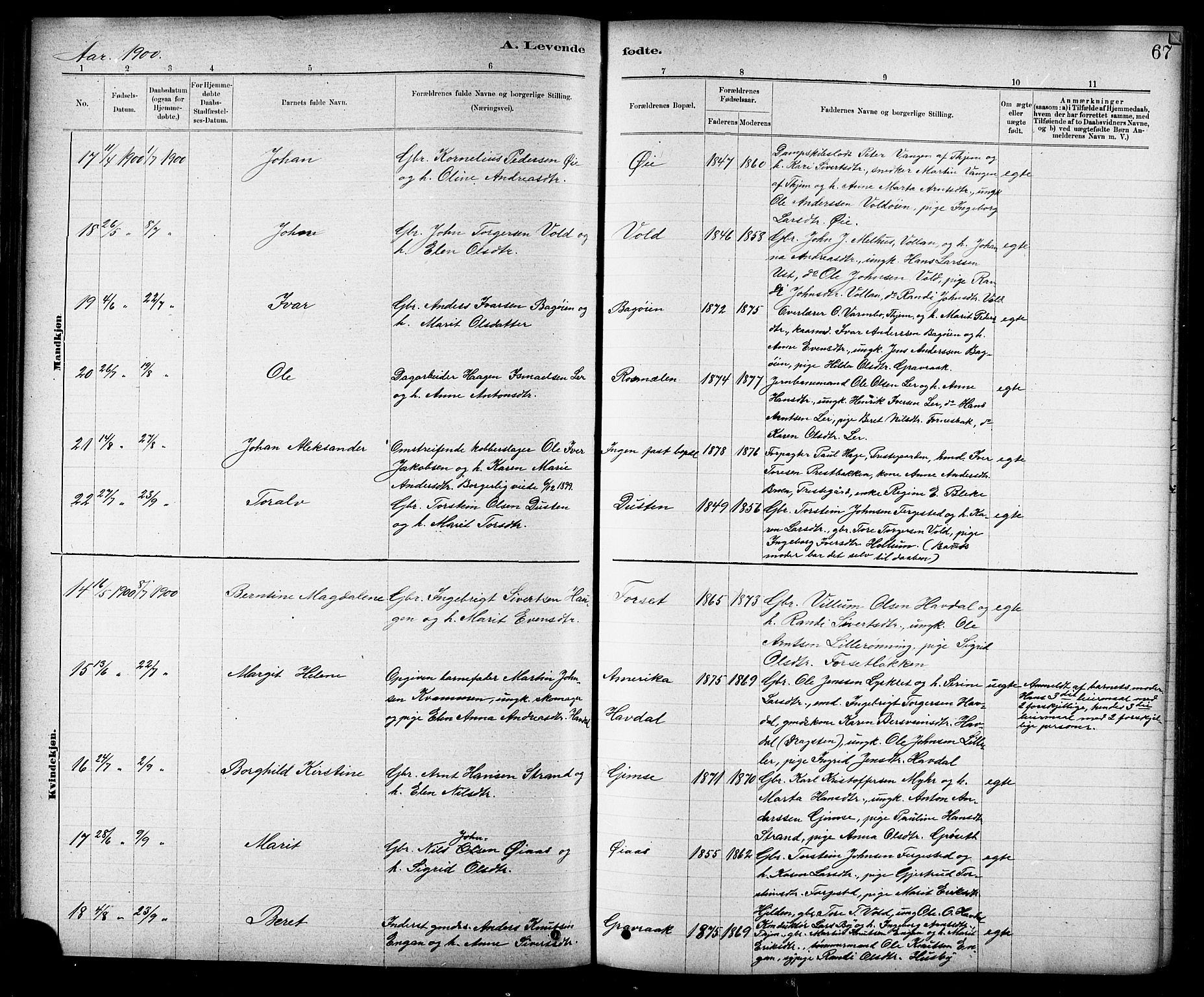 Ministerialprotokoller, klokkerbøker og fødselsregistre - Sør-Trøndelag, SAT/A-1456/691/L1094: Klokkerbok nr. 691C05, 1879-1911, s. 67
