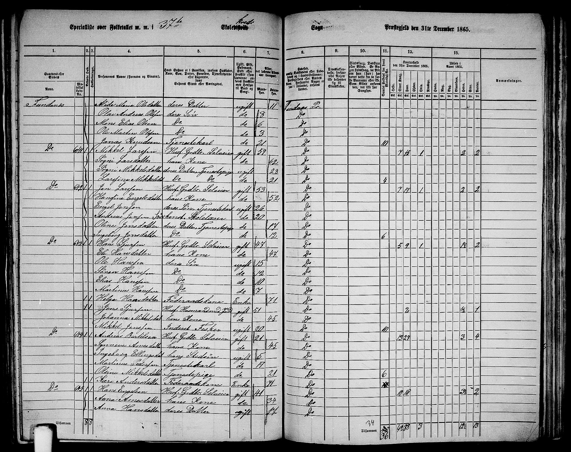 RA, Folketelling 1865 for 1263P Lindås prestegjeld, 1865, s. 237