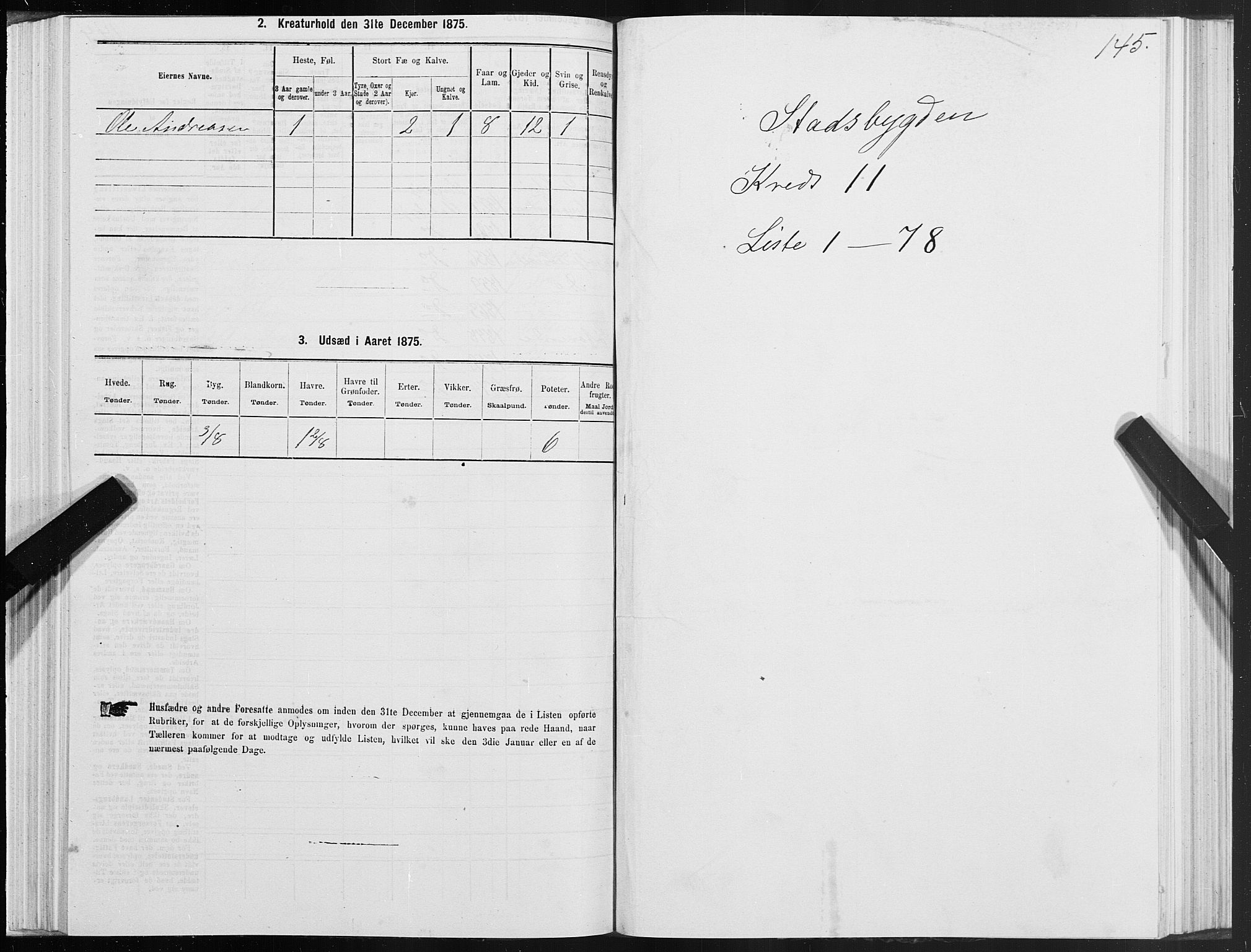 SAT, Folketelling 1875 for 1625P Stadsbygd prestegjeld, 1875, s. 6145