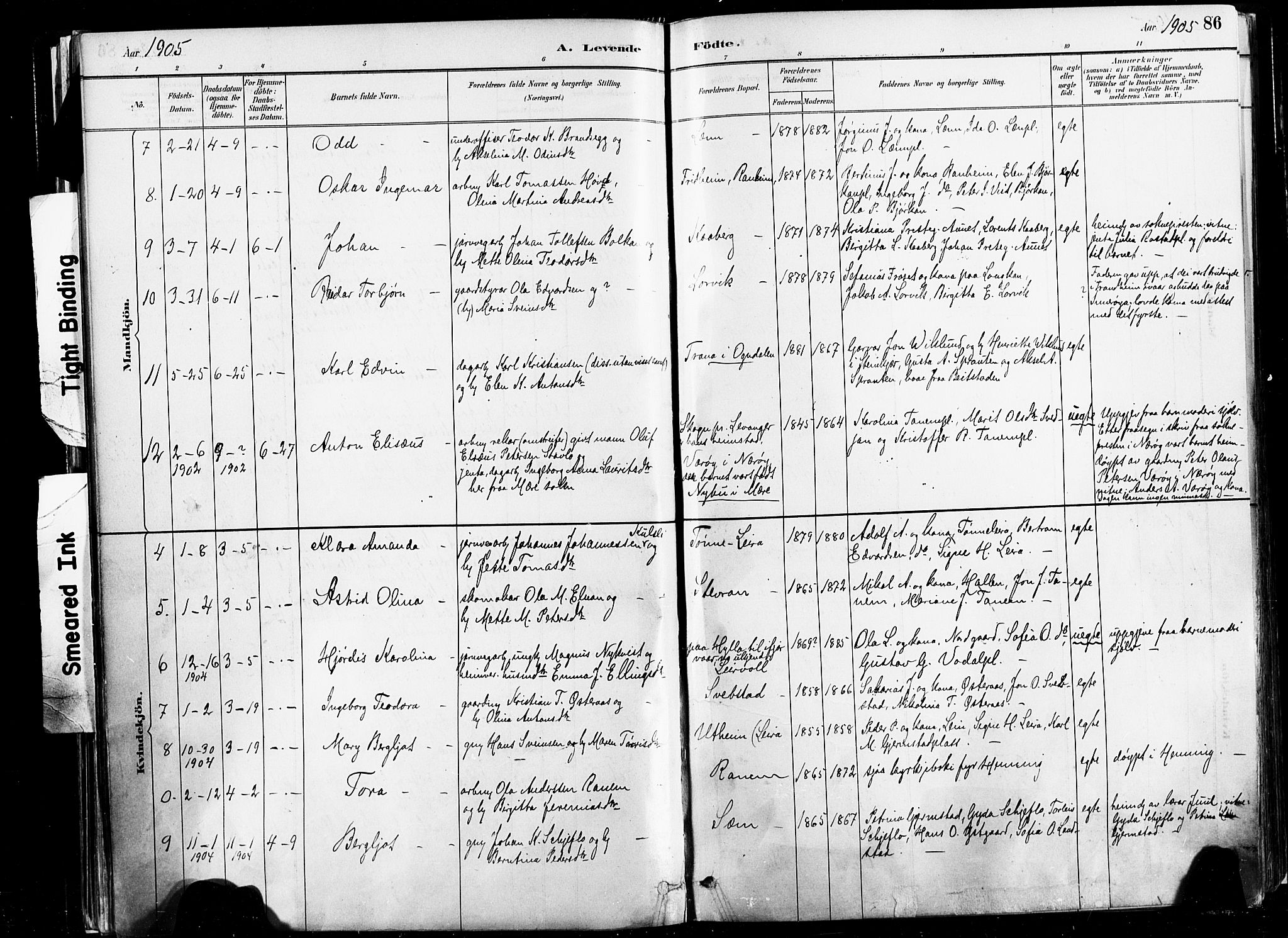 Ministerialprotokoller, klokkerbøker og fødselsregistre - Nord-Trøndelag, AV/SAT-A-1458/735/L0351: Ministerialbok nr. 735A10, 1884-1908, s. 86