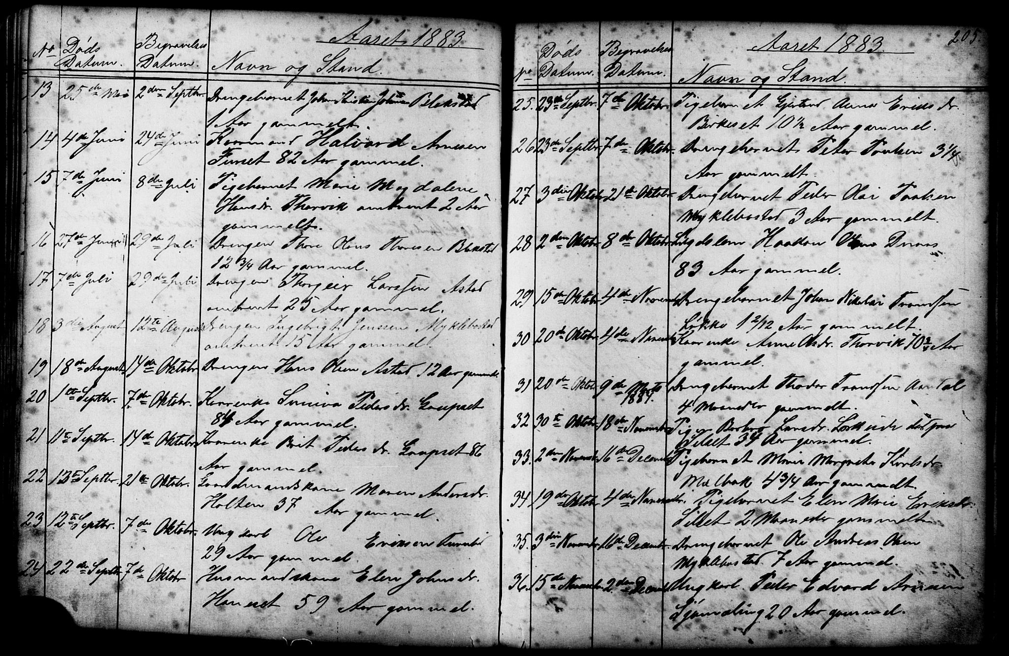 Ministerialprotokoller, klokkerbøker og fødselsregistre - Møre og Romsdal, AV/SAT-A-1454/584/L0969: Klokkerbok nr. 584C02, 1877-1911, s. 205