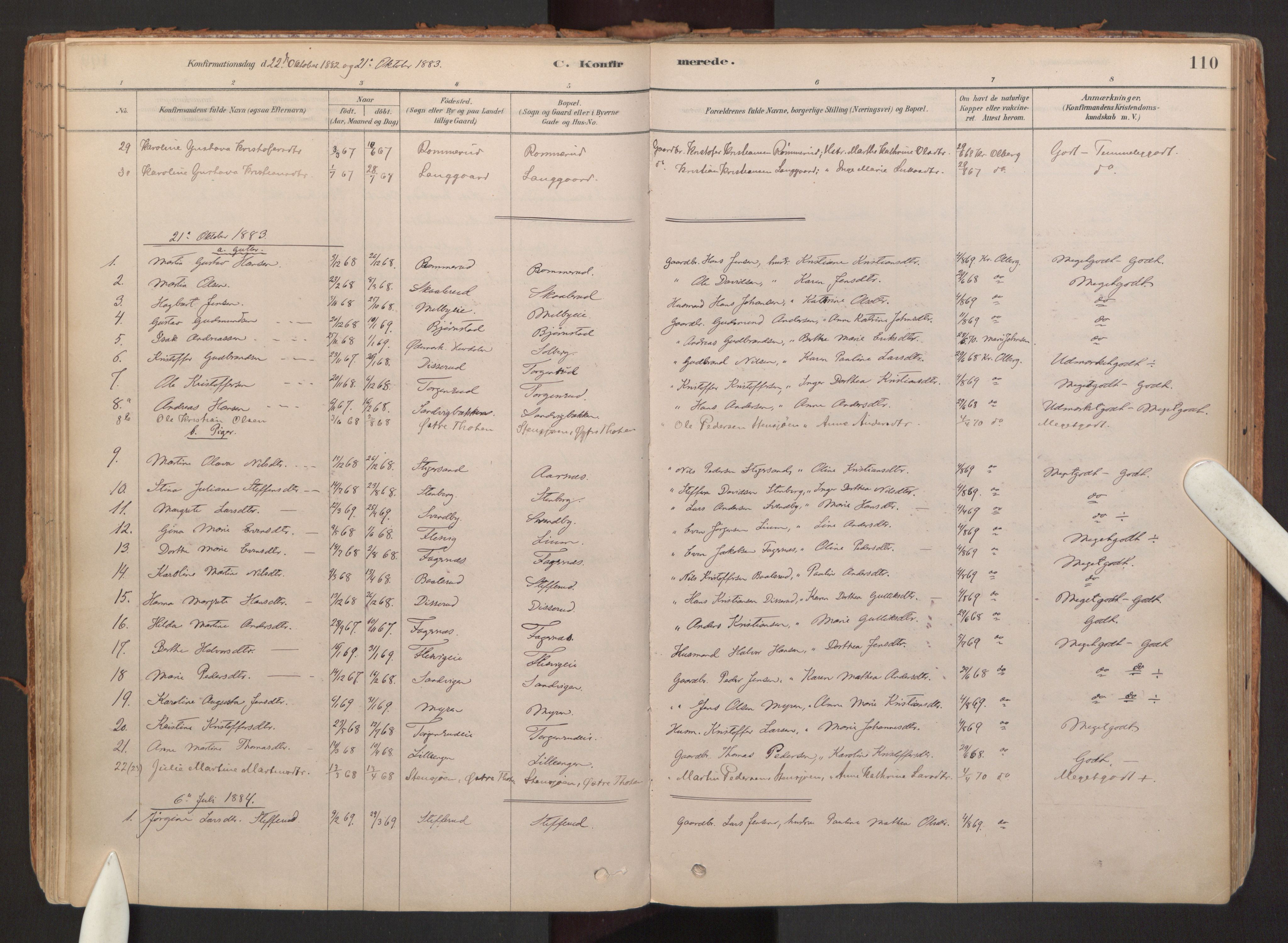 Hurdal prestekontor Kirkebøker, AV/SAO-A-10889/F/Fb/L0003: Ministerialbok nr. II 3, 1878-1920, s. 110