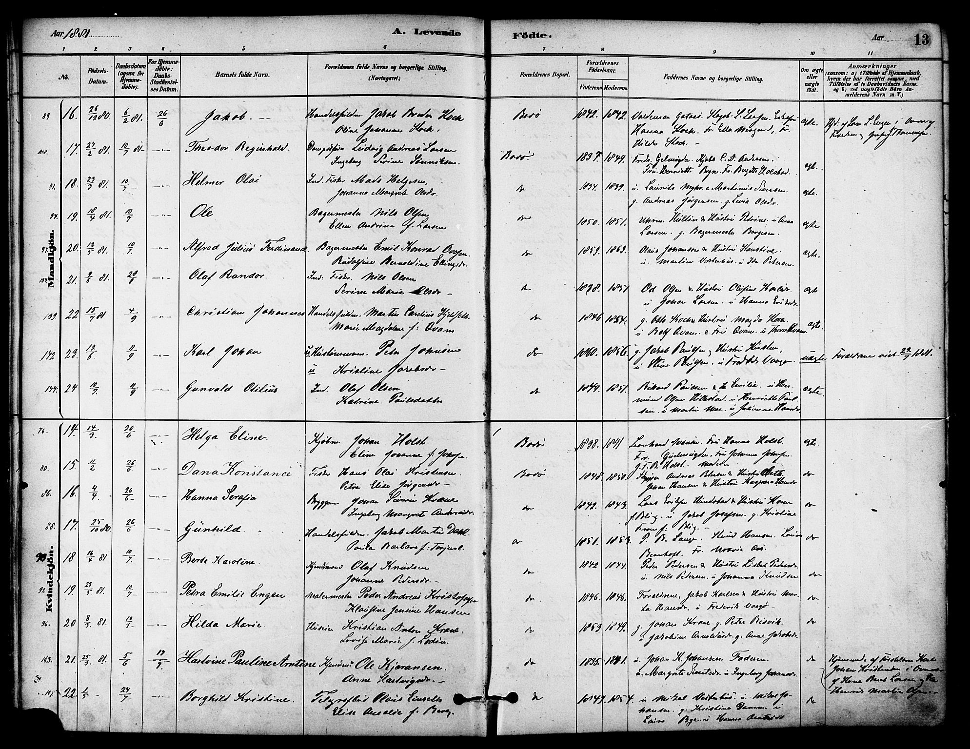 Ministerialprotokoller, klokkerbøker og fødselsregistre - Nordland, SAT/A-1459/801/L0030: Klokkerbok nr. 801C05, 1879-1887, s. 13