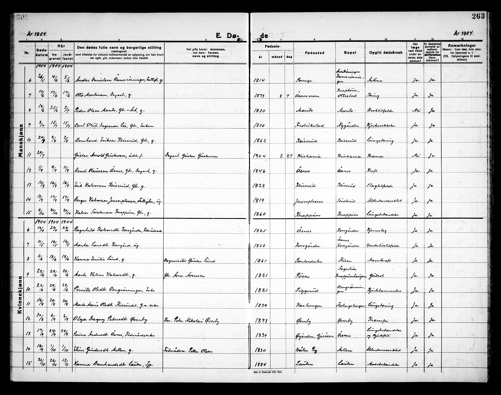 Åsnes prestekontor, SAH/PREST-042/H/Ha/Haa/L0000C: Ministerialbok nr. 0A, 1890-1929, s. 263