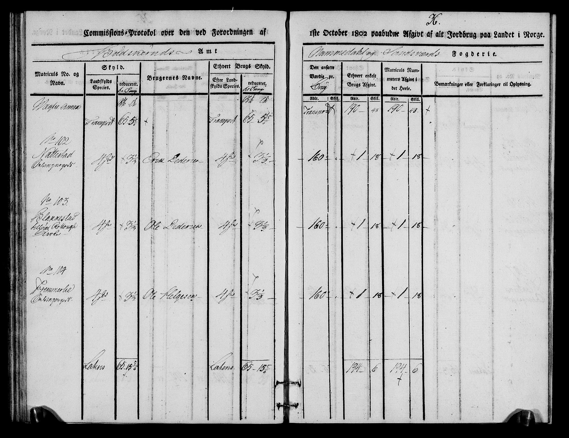 Rentekammeret inntil 1814, Realistisk ordnet avdeling, RA/EA-4070/N/Ne/Nea/L0056a: Numedal og Sandsvær fogderi. Kommisjonsprotokoll for Rollag hovedsogn og Veggli anneks, 1803, s. 37