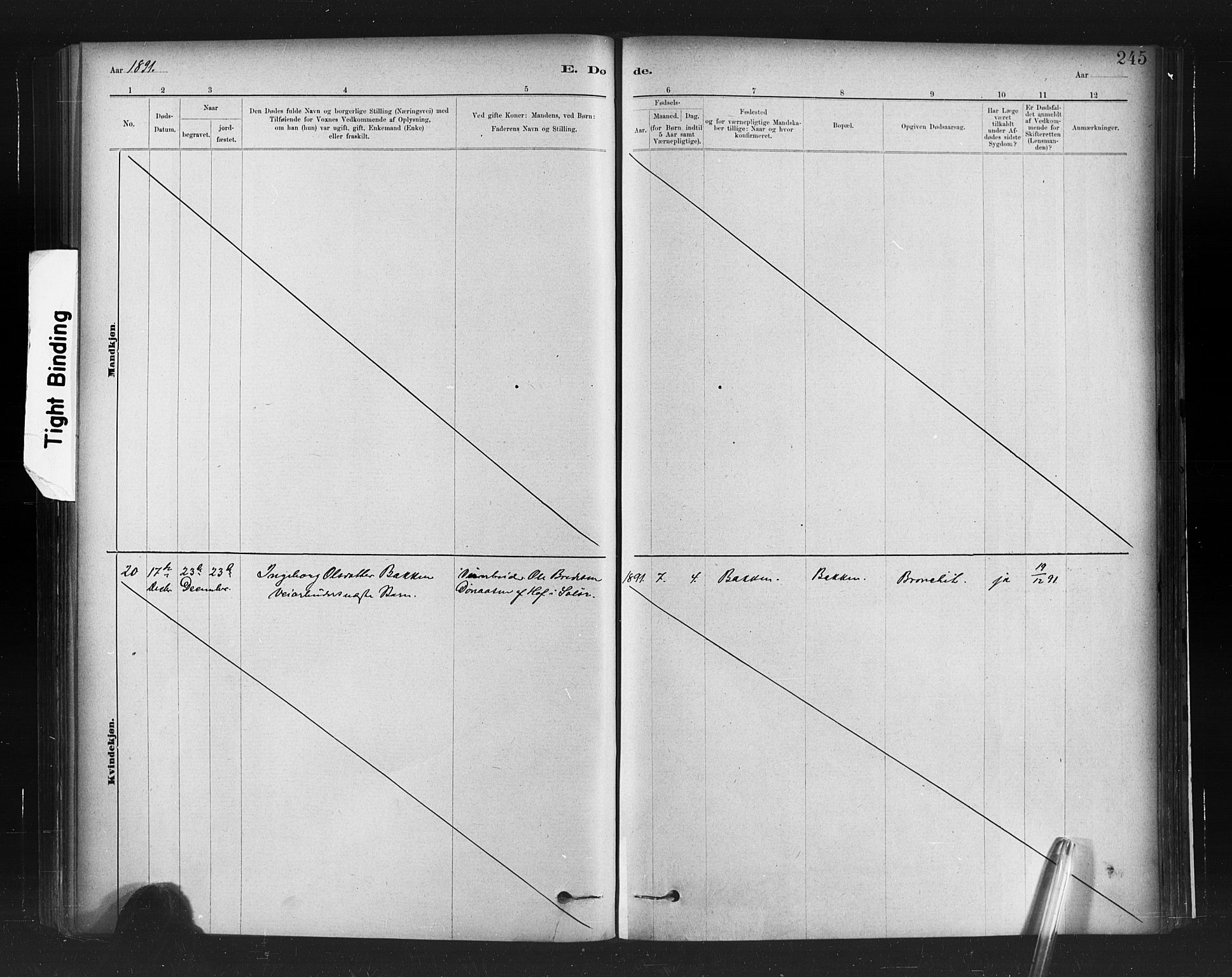 Ministerialprotokoller, klokkerbøker og fødselsregistre - Møre og Romsdal, AV/SAT-A-1454/598/L1069: Ministerialbok nr. 598A03, 1882-1895, s. 245