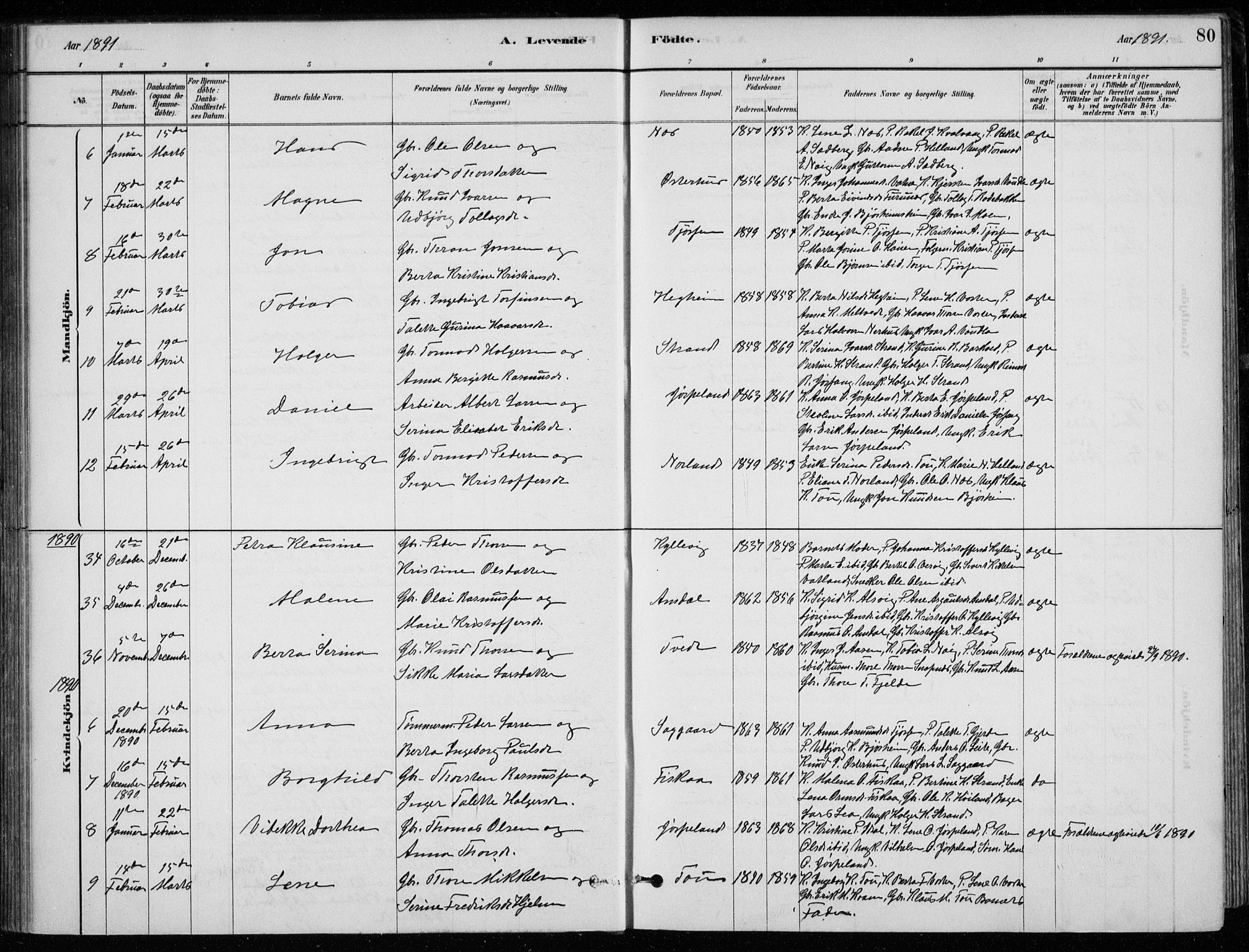 Strand sokneprestkontor, AV/SAST-A-101828/H/Ha/Hab/L0004: Klokkerbok nr. B 4, 1878-1903, s. 80