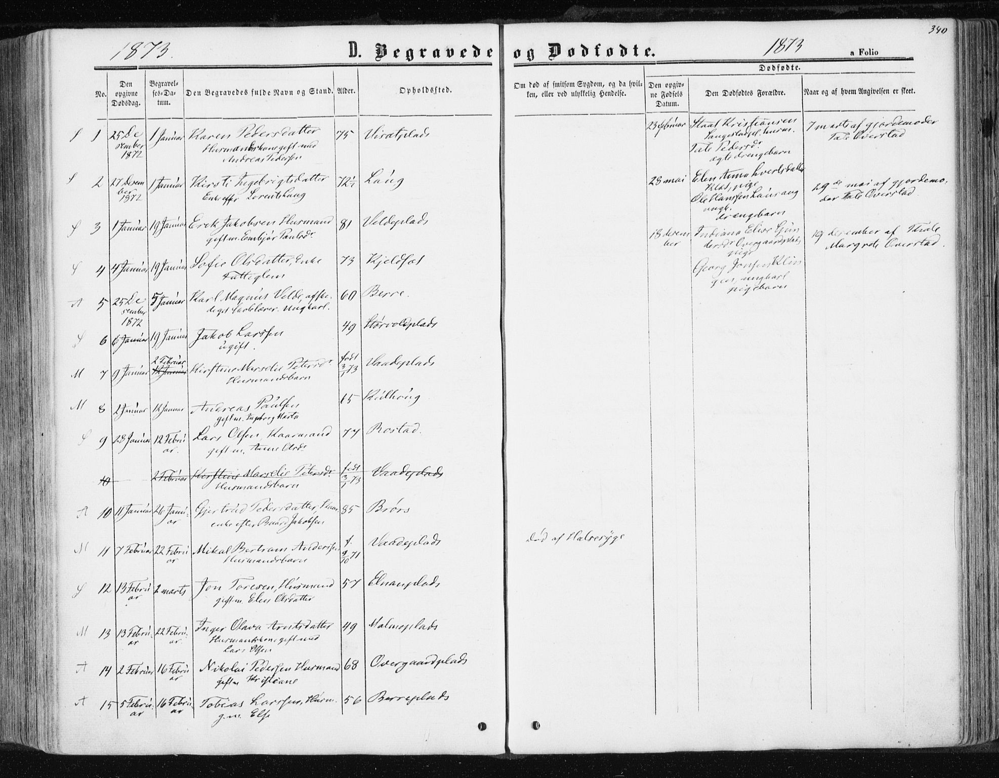 Ministerialprotokoller, klokkerbøker og fødselsregistre - Nord-Trøndelag, AV/SAT-A-1458/741/L0394: Ministerialbok nr. 741A08, 1864-1877, s. 340