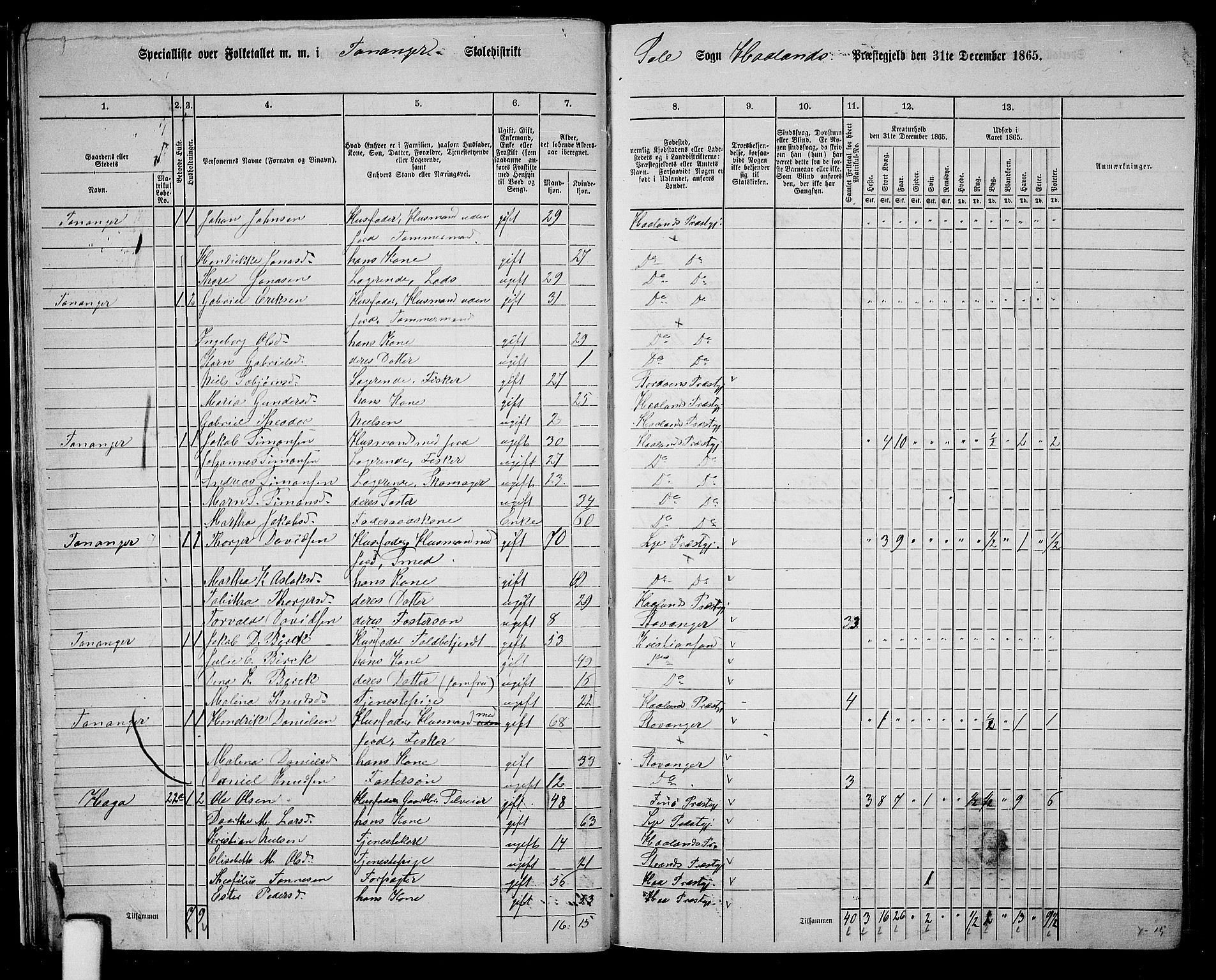 RA, Folketelling 1865 for 1124P Håland prestegjeld, 1865, s. 26