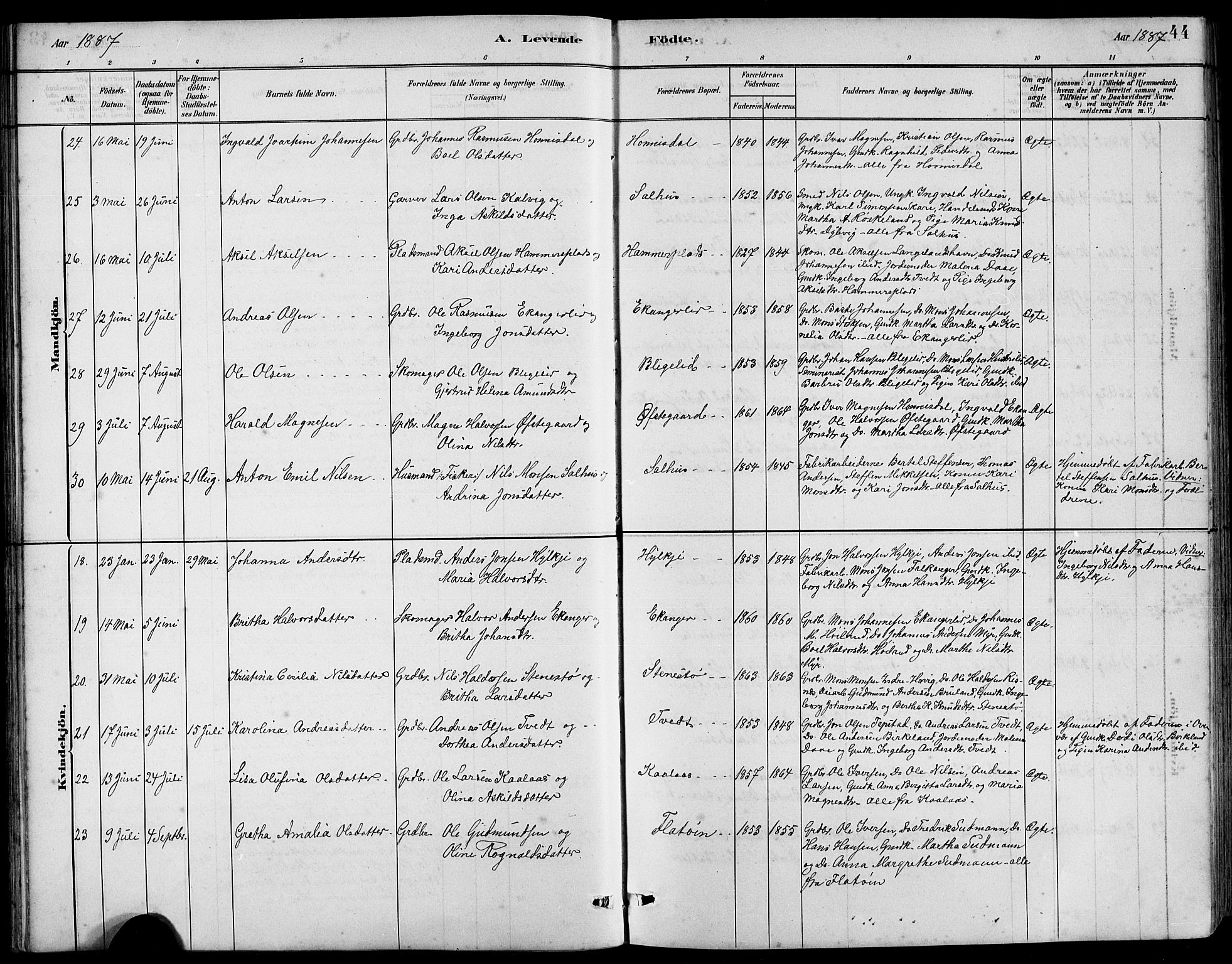 Hamre sokneprestembete, AV/SAB-A-75501/H/Ha/Hab: Klokkerbok nr. B 3, 1881-1898, s. 44