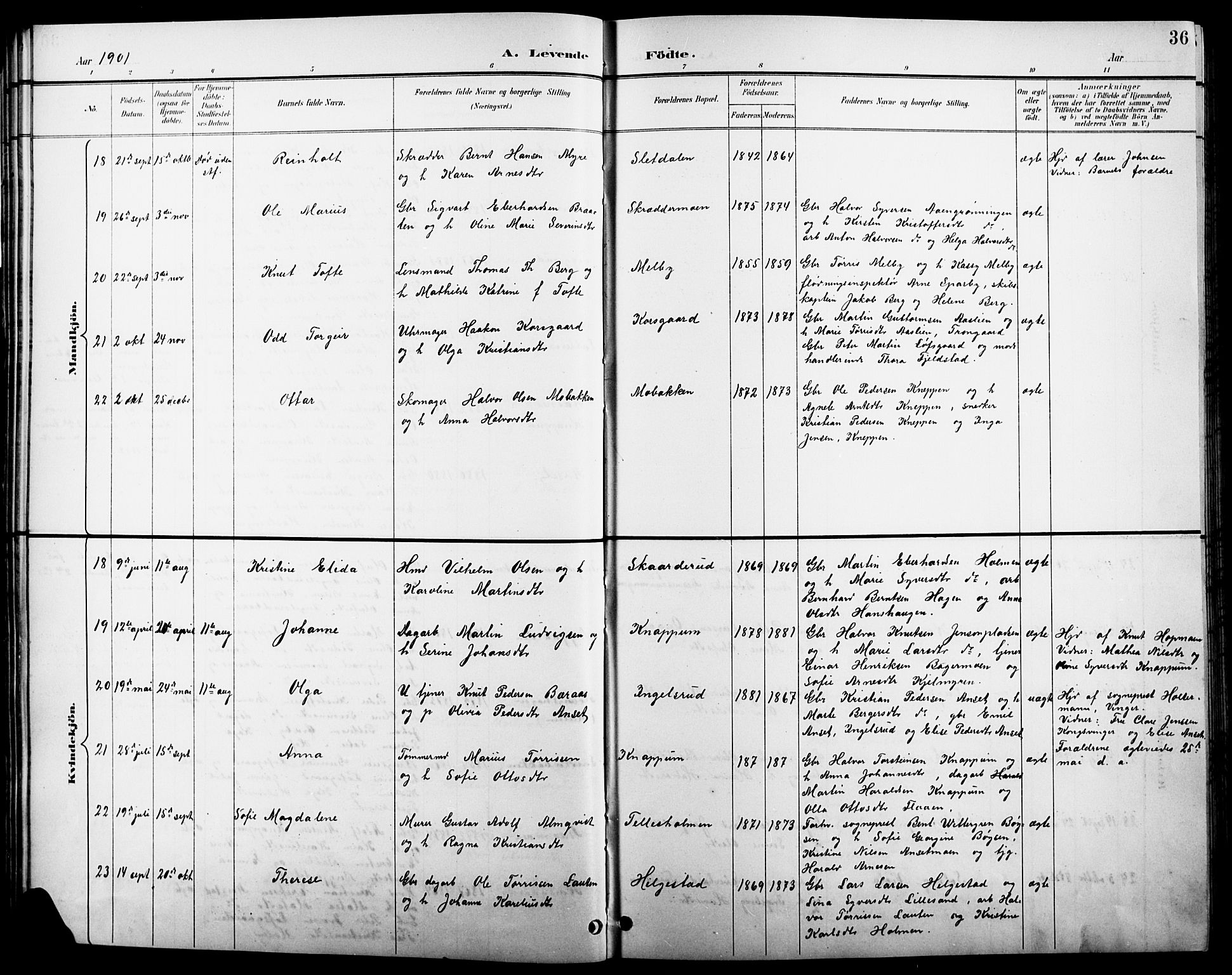 Åsnes prestekontor, AV/SAH-PREST-042/H/Ha/Hab/L0004: Klokkerbok nr. 4, 1895-1909, s. 36