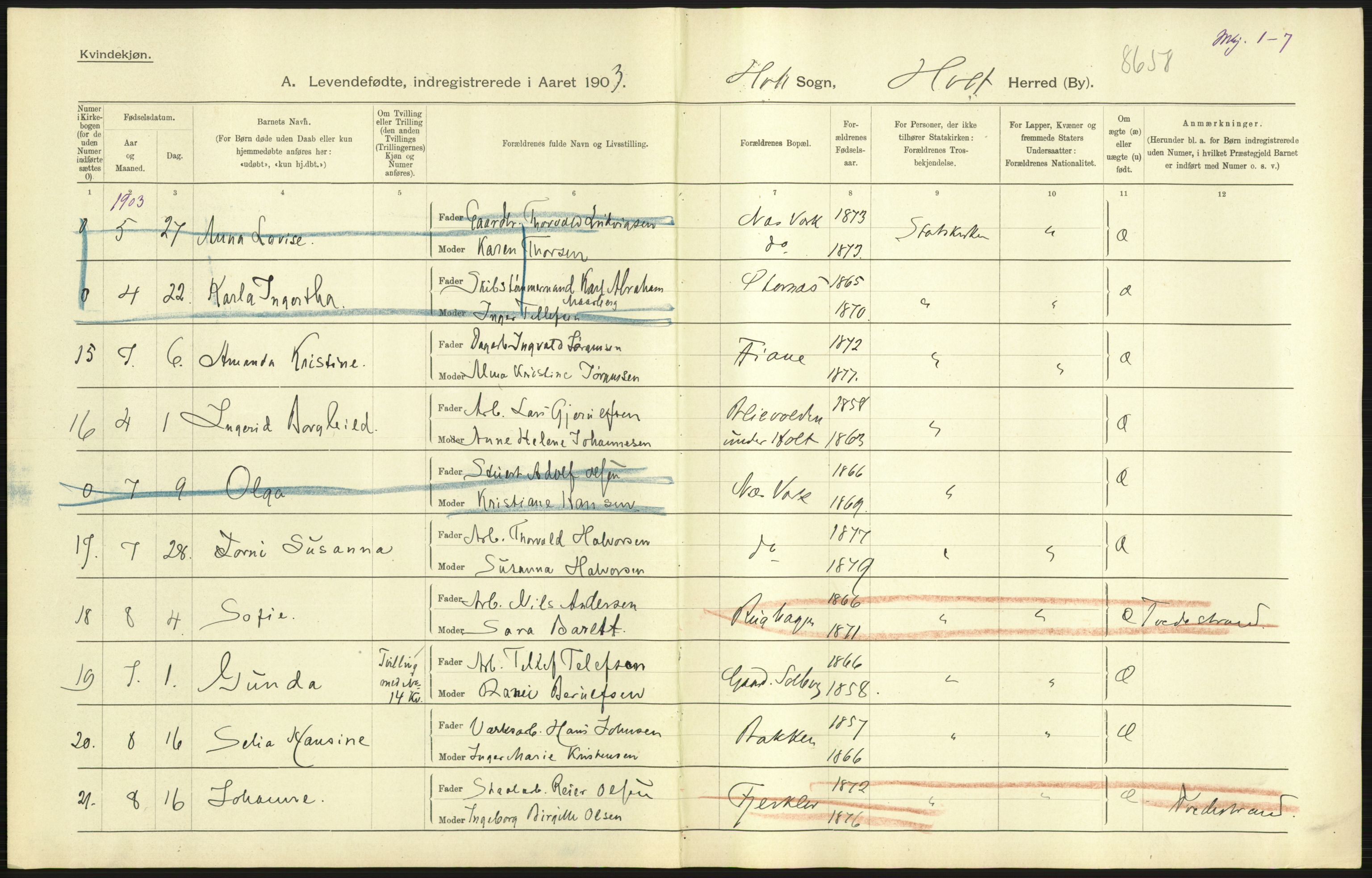 Statistisk sentralbyrå, Sosiodemografiske emner, Befolkning, AV/RA-S-2228/D/Df/Dfa/Dfaa/L0010: Nedenes amt: Fødte, gifte, døde, 1903, s. 63