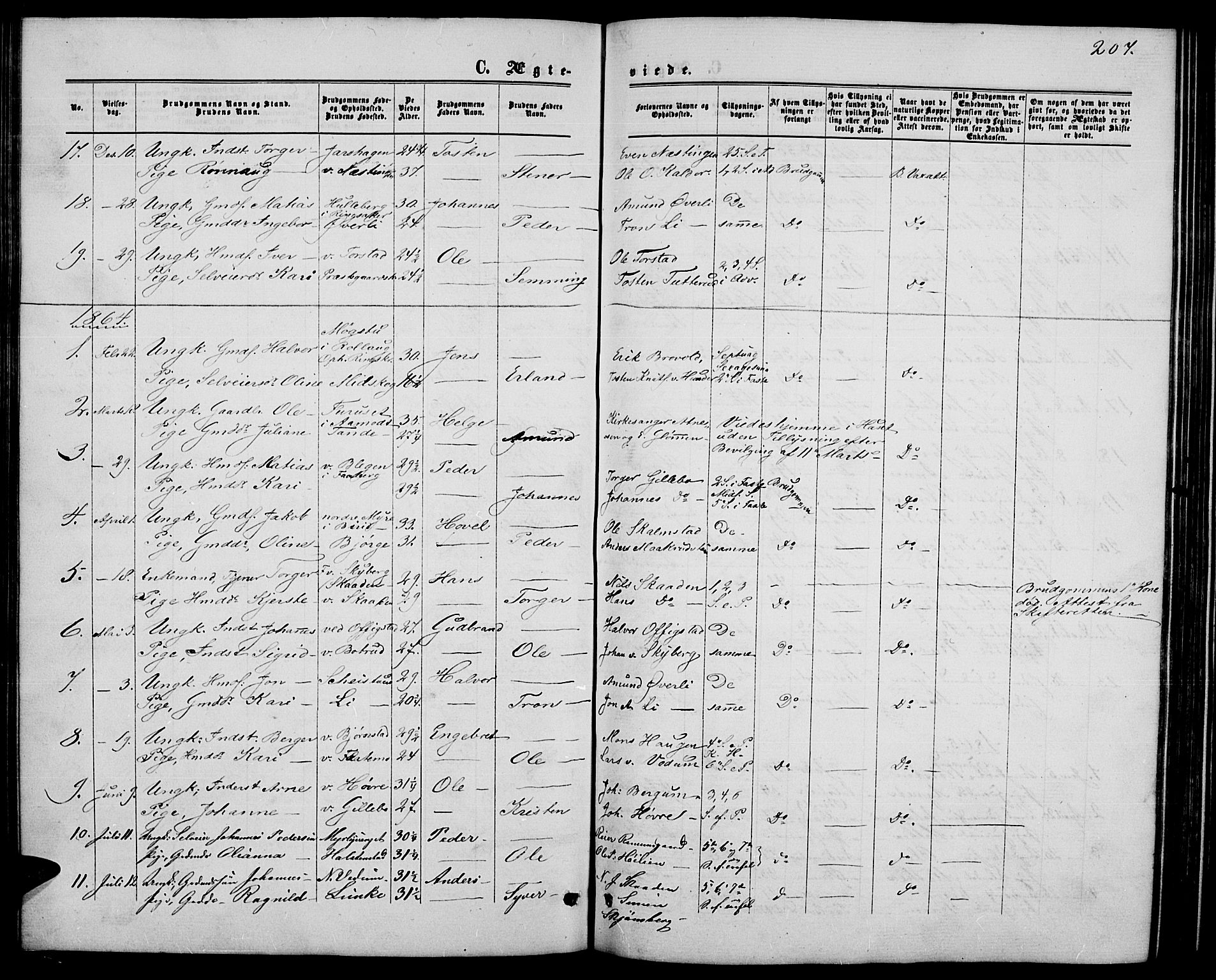 Øyer prestekontor, AV/SAH-PREST-084/H/Ha/Hab/L0001: Klokkerbok nr. 1, 1863-1877, s. 207