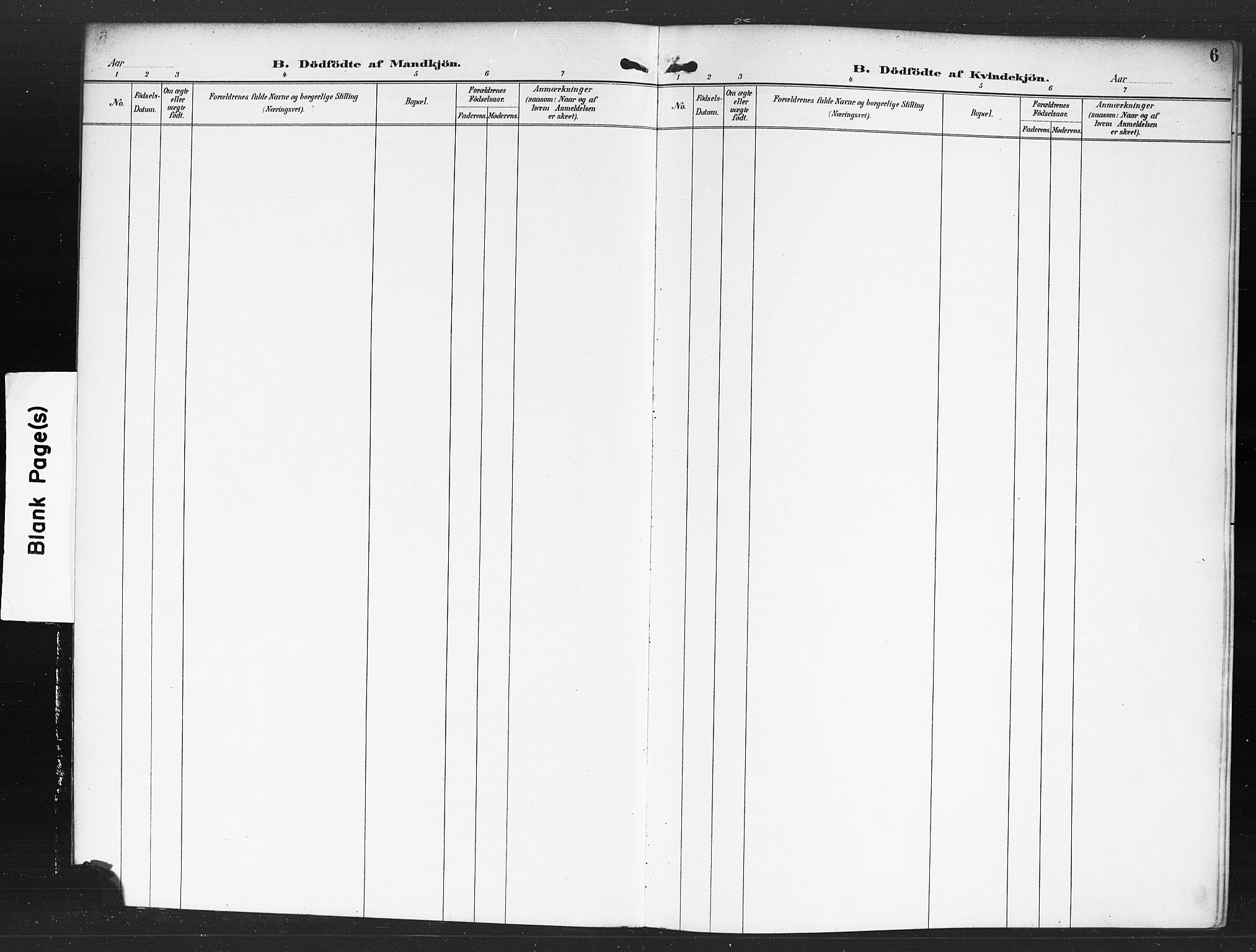 Rødenes prestekontor Kirkebøker, AV/SAO-A-2005/F/Fa/L0010: Ministerialbok nr. I 10, 1890-1900, s. 6