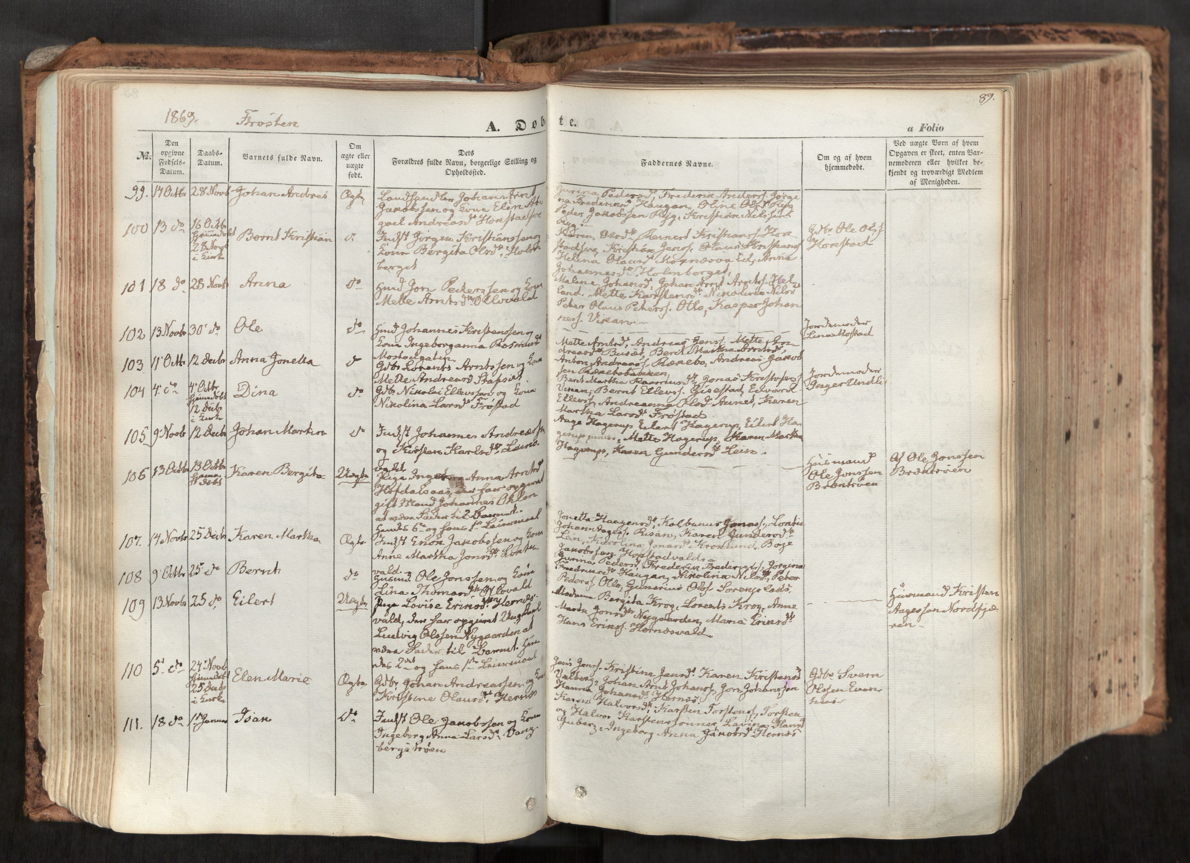 Ministerialprotokoller, klokkerbøker og fødselsregistre - Nord-Trøndelag, AV/SAT-A-1458/713/L0116: Ministerialbok nr. 713A07, 1850-1877, s. 89