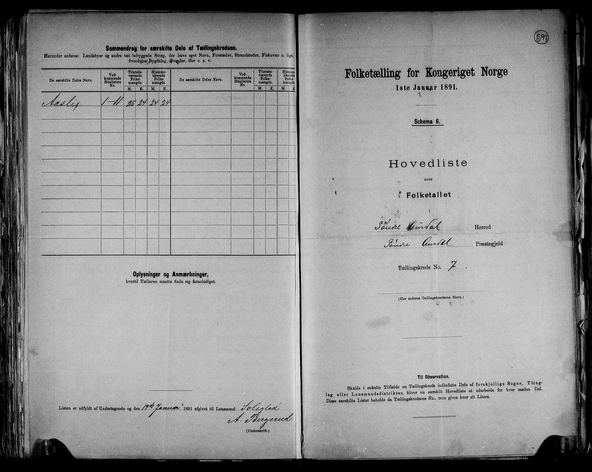 RA, Folketelling 1891 for 0540 Sør-Aurdal herred, 1891, s. 20