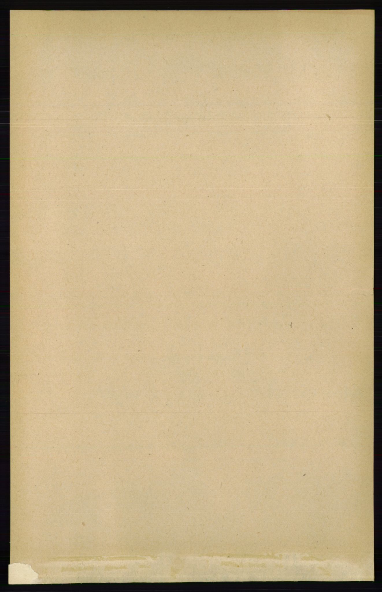 RA, Folketelling 1891 for 0919 Froland herred, 1891, s. 1013