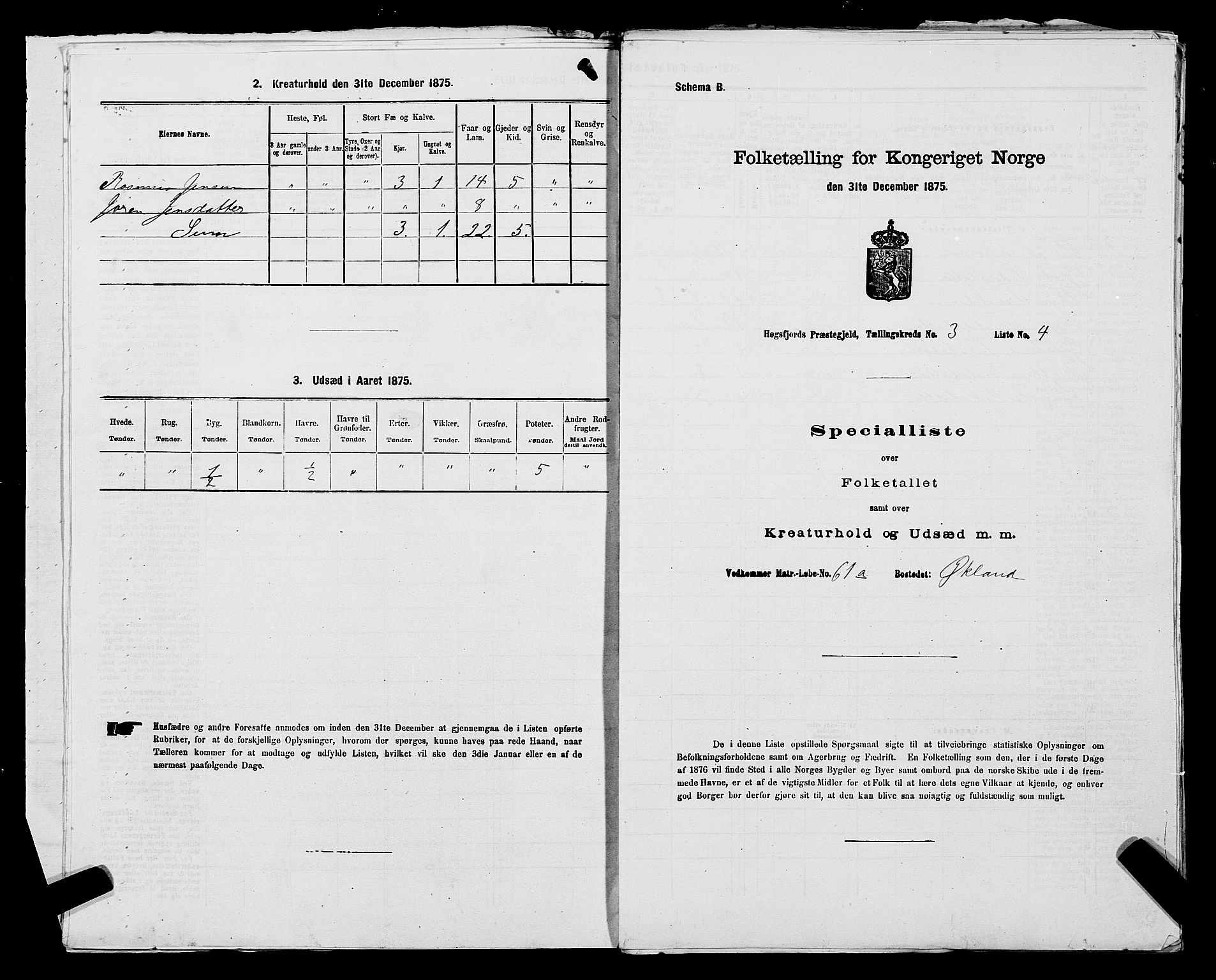 SAST, Folketelling 1875 for 1128P Høgsfjord prestegjeld, 1875, s. 246