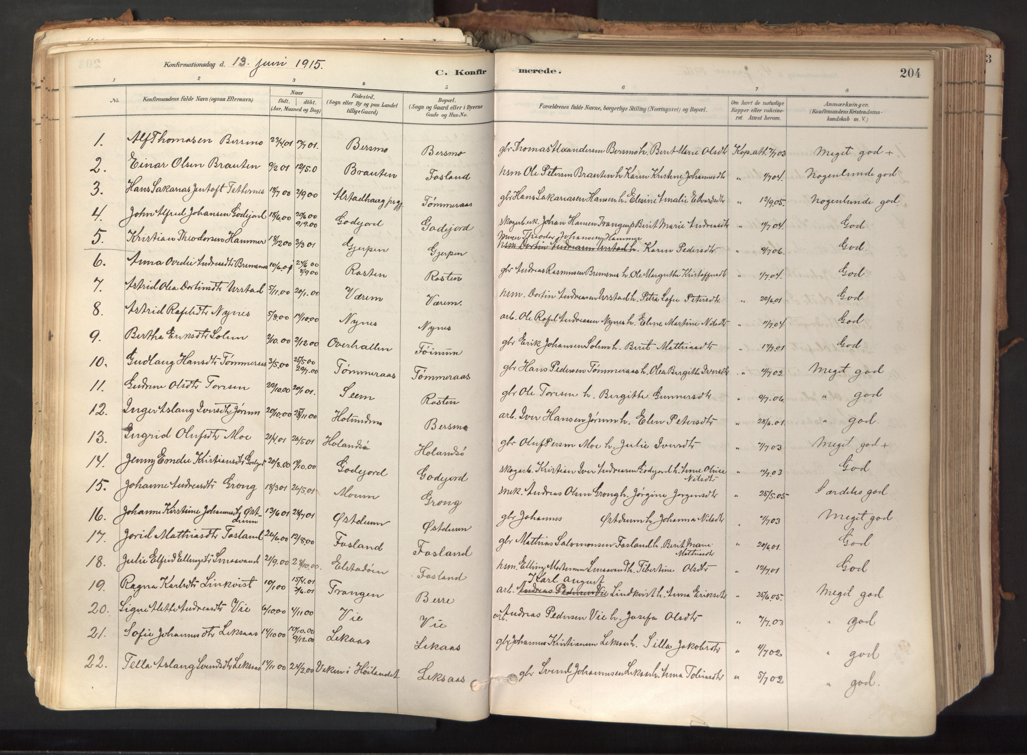 Ministerialprotokoller, klokkerbøker og fødselsregistre - Nord-Trøndelag, SAT/A-1458/758/L0519: Ministerialbok nr. 758A04, 1880-1926, s. 204