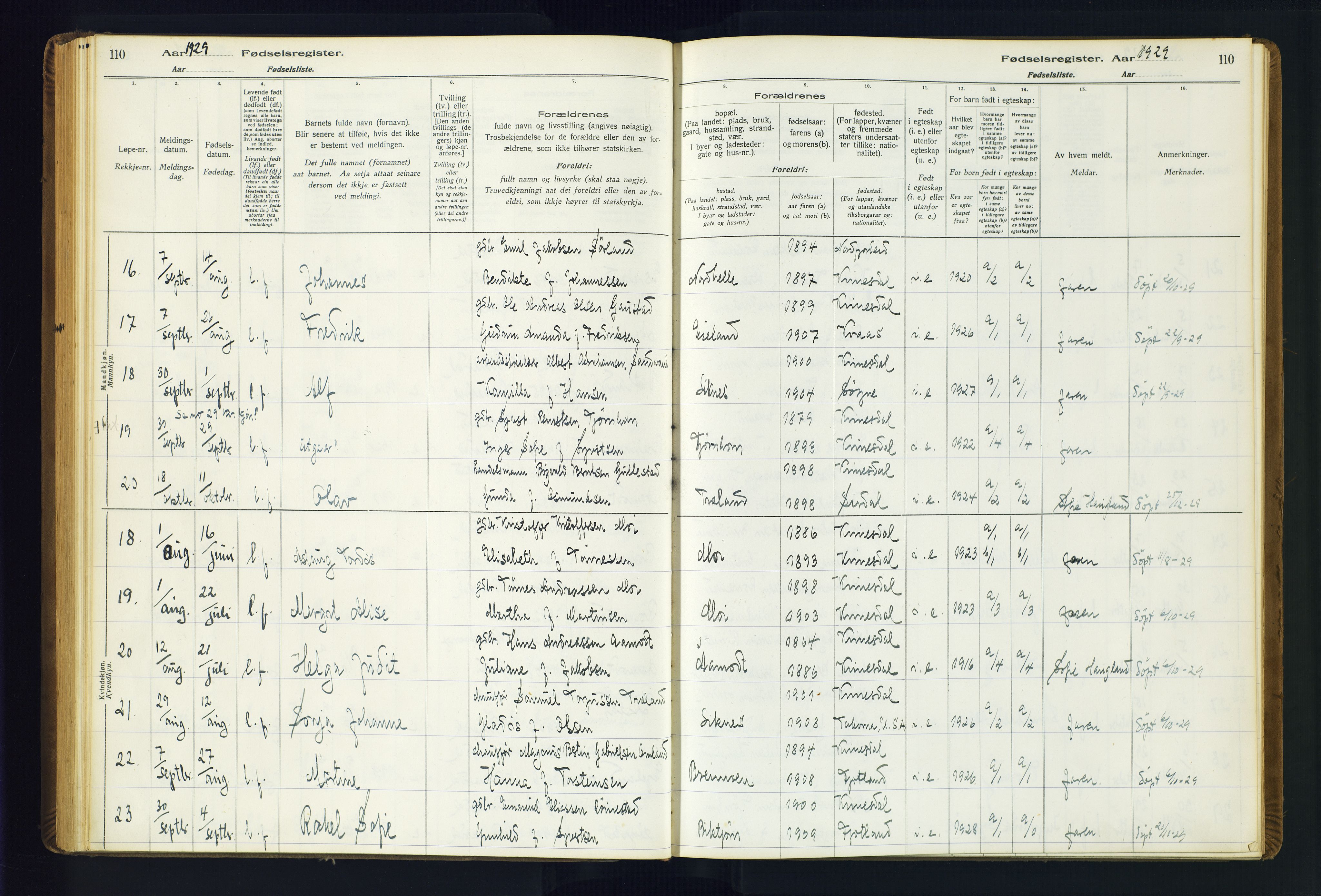 Kvinesdal sokneprestkontor, AV/SAK-1111-0026/J/Ja/L0001: Fødselsregister nr. 1, 1916-1941, s. 110