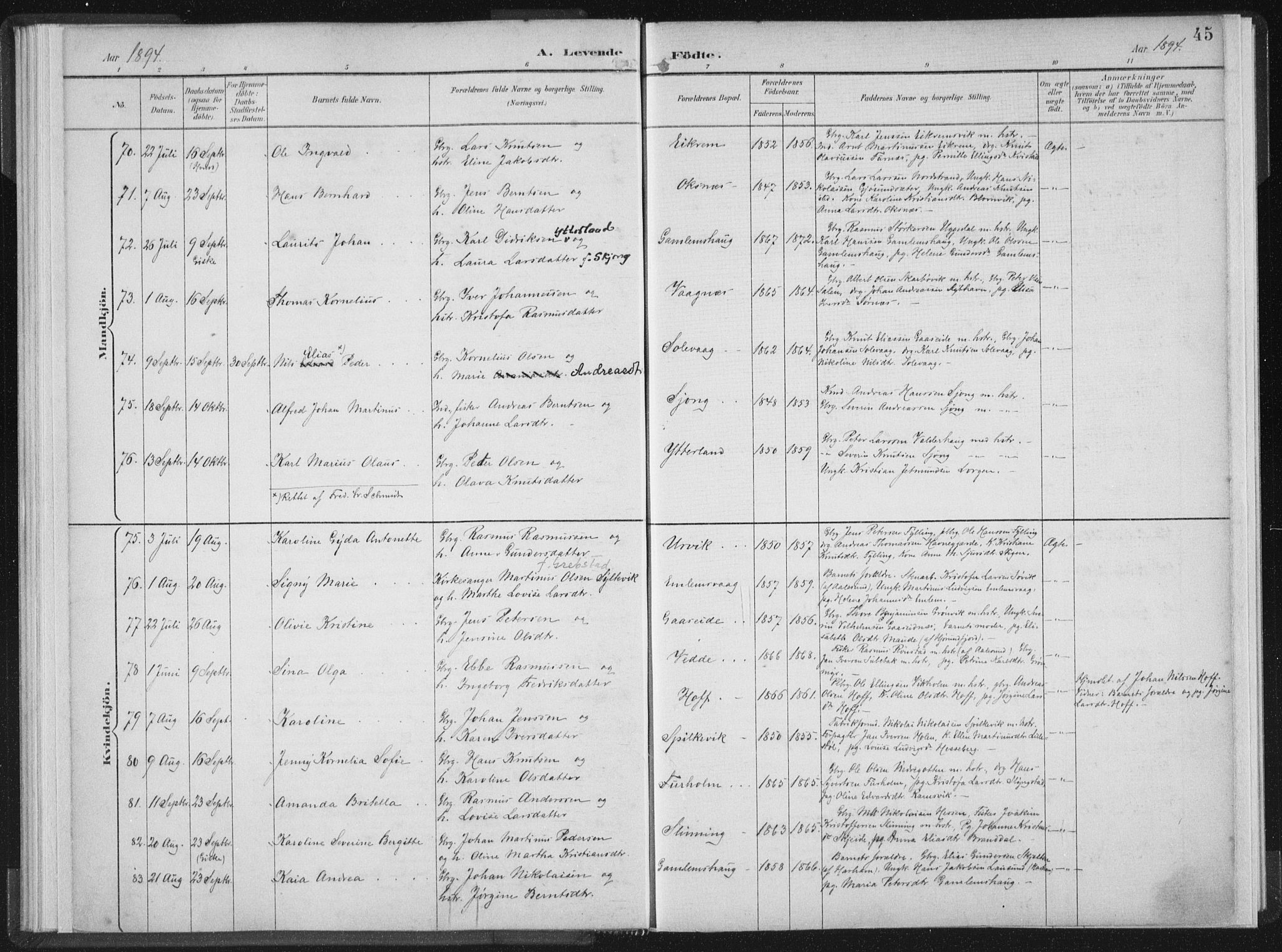 Ministerialprotokoller, klokkerbøker og fødselsregistre - Møre og Romsdal, AV/SAT-A-1454/528/L0405: Ministerialbok nr. 528A14, 1891-1906, s. 45