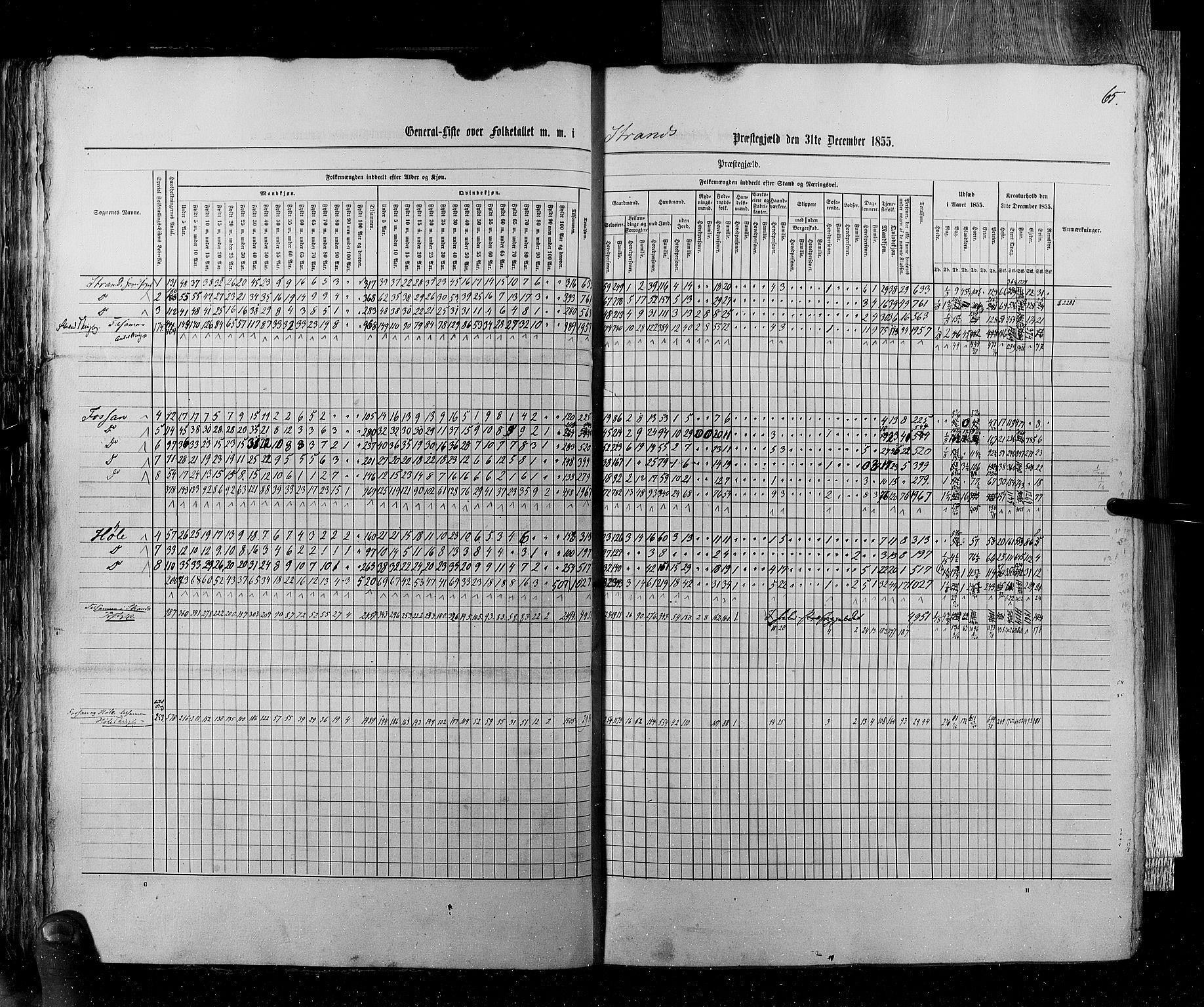 RA, Folketellingen 1855, bind 4: Stavanger amt og Søndre Bergenhus amt, 1855, s. 65