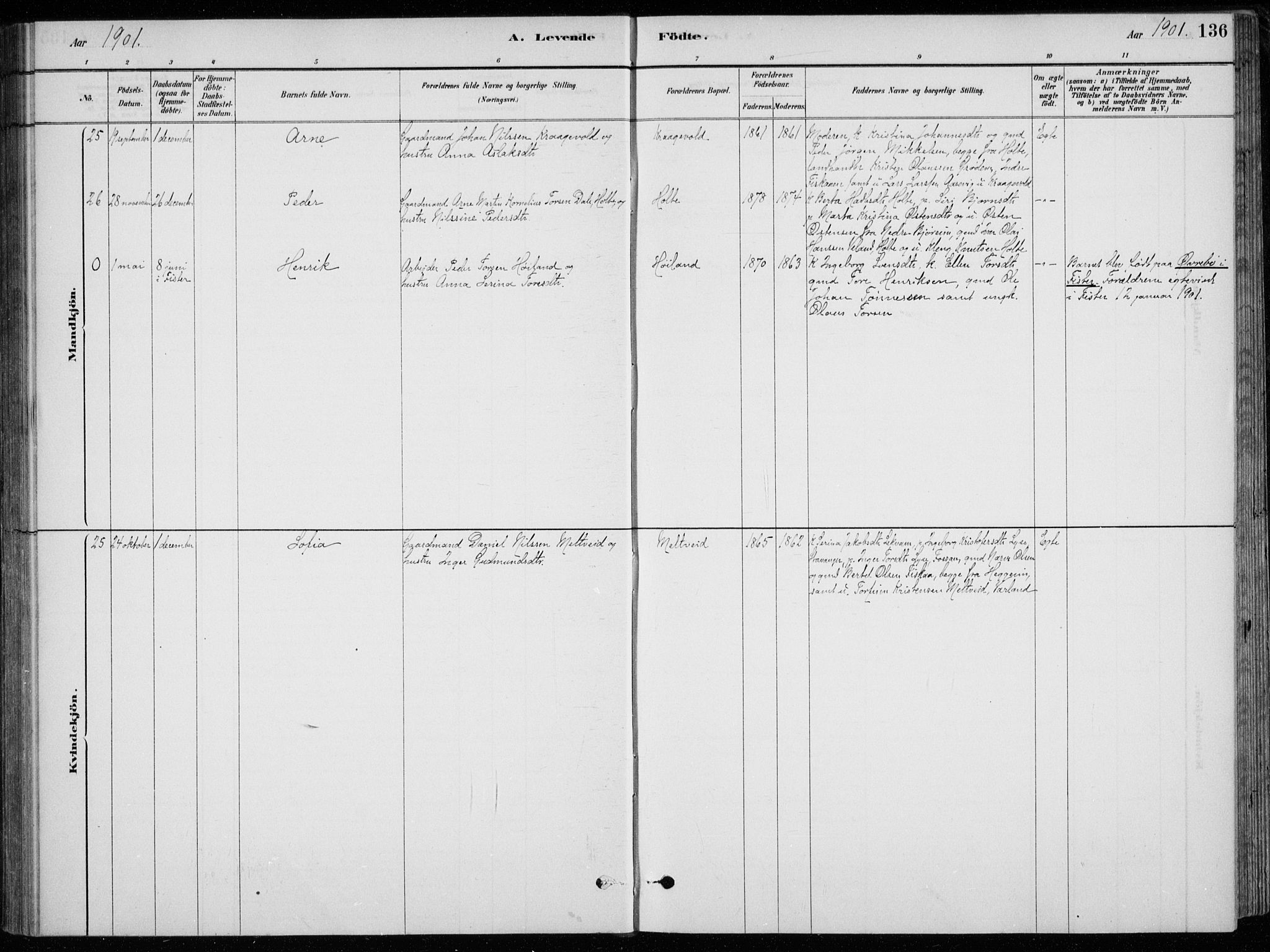 Strand sokneprestkontor, AV/SAST-A-101828/H/Ha/Hab/L0004: Klokkerbok nr. B 4, 1878-1903, s. 136