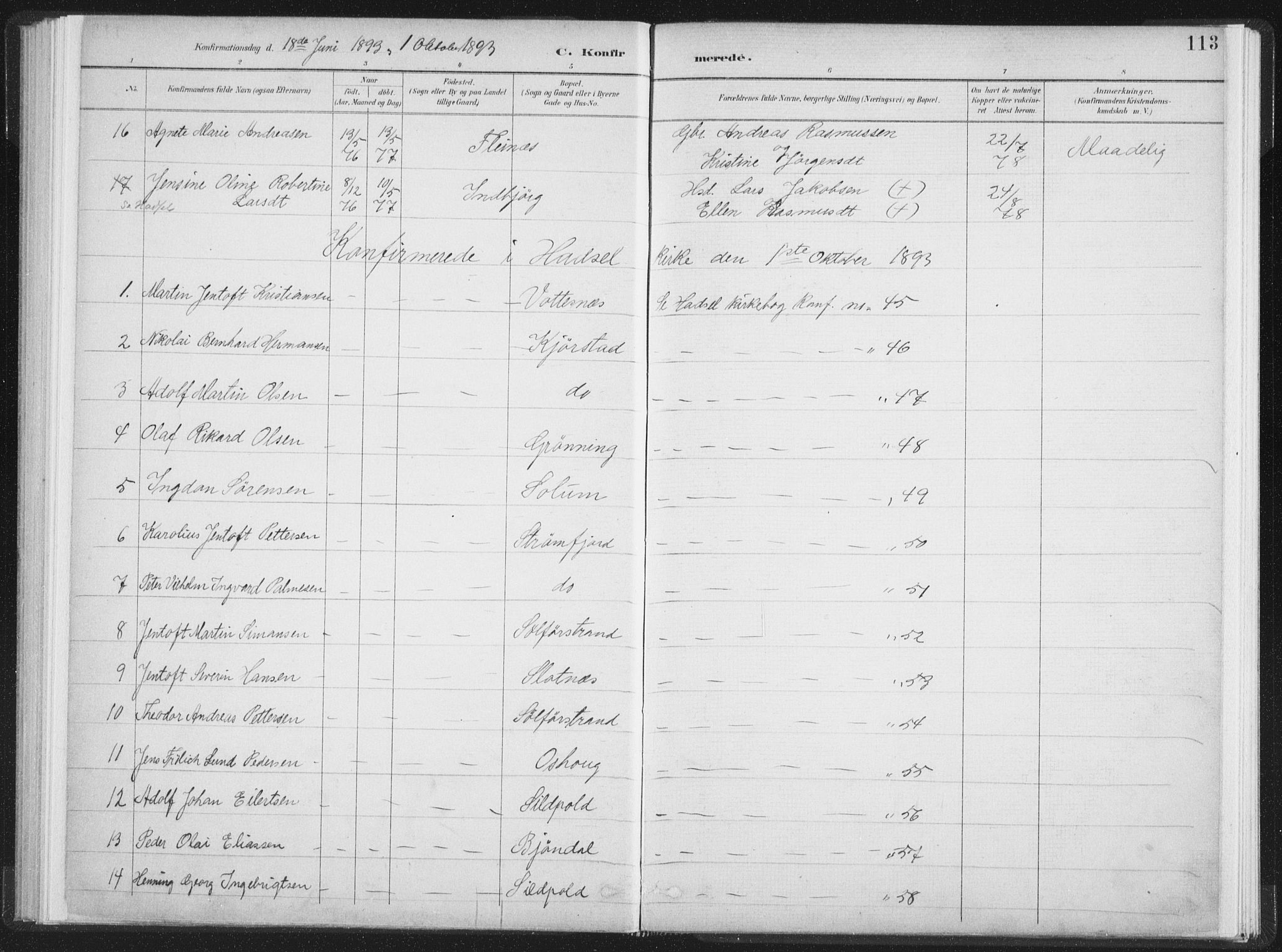 Ministerialprotokoller, klokkerbøker og fødselsregistre - Nordland, AV/SAT-A-1459/890/L1286: Ministerialbok nr. 890A01, 1882-1902, s. 113