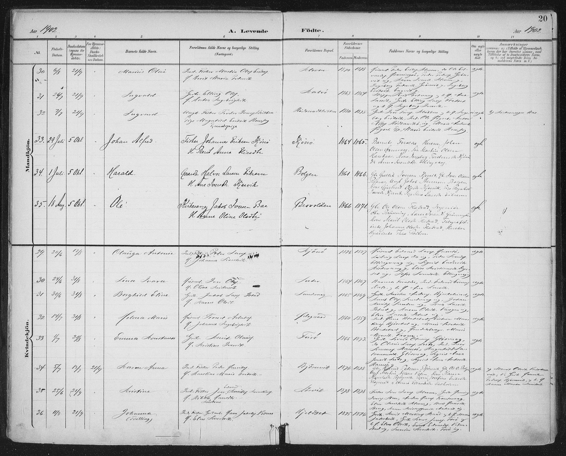 Ministerialprotokoller, klokkerbøker og fødselsregistre - Møre og Romsdal, AV/SAT-A-1454/569/L0820: Ministerialbok nr. 569A06, 1900-1911, s. 20