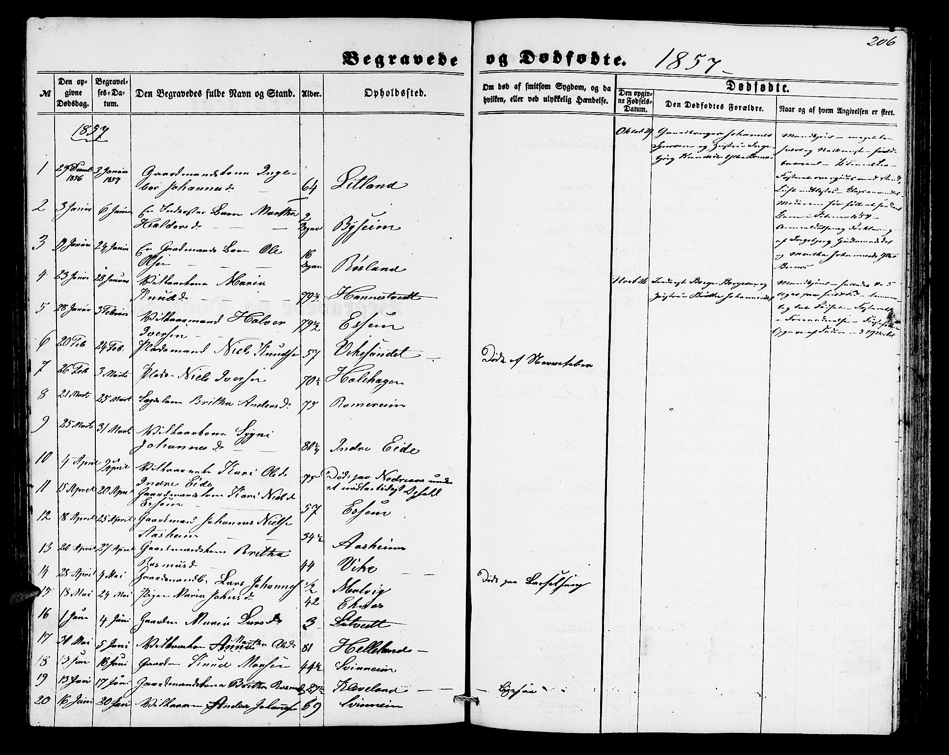 Hosanger sokneprestembete, AV/SAB-A-75801/H/Hab: Klokkerbok nr. A 2, 1857-1881, s. 206